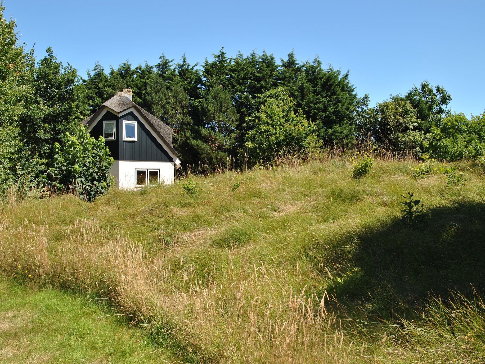 De tuin van De Kerkuil in De Cocksdorp-Texel