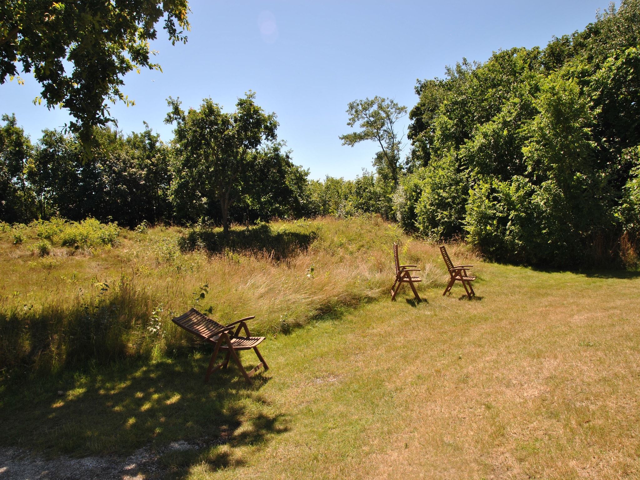 De tuin van De Ransuil in De Cocksdorp-Texel