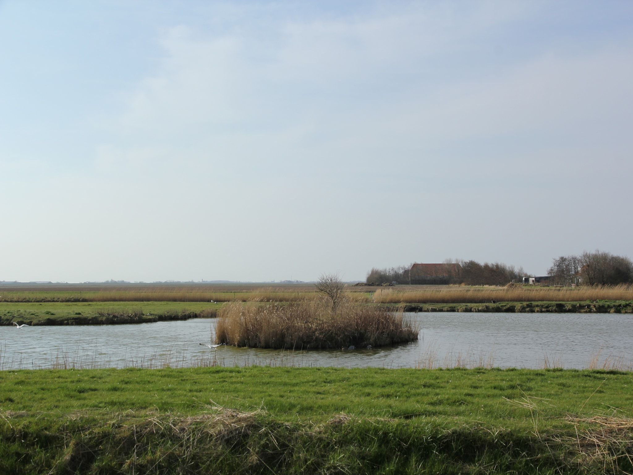De omgeving van Villa  Hoogeland 106L in De Koog-Texel