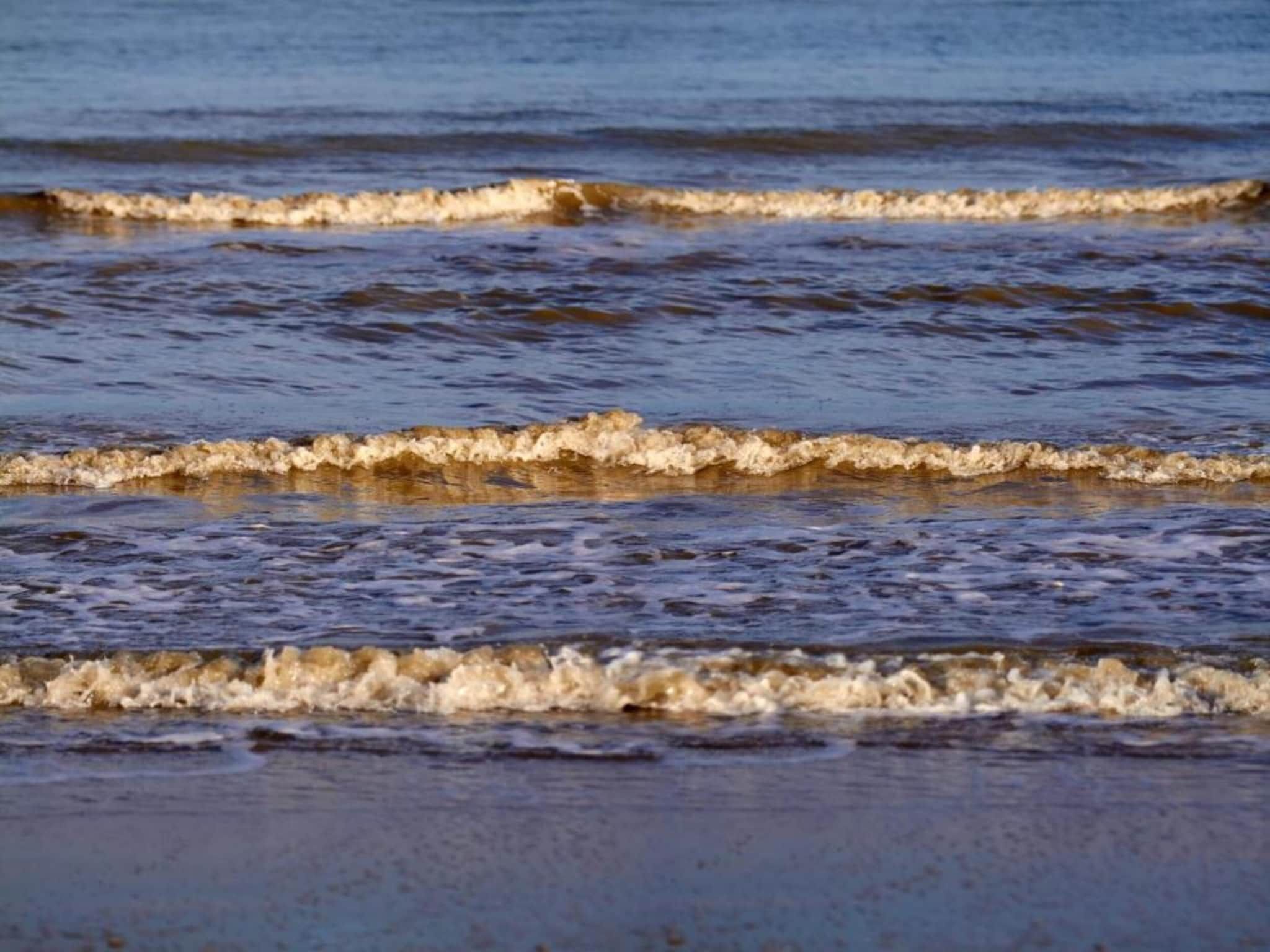 Groot Hof ter Zand in Zuidzande - Foto 40 van 40