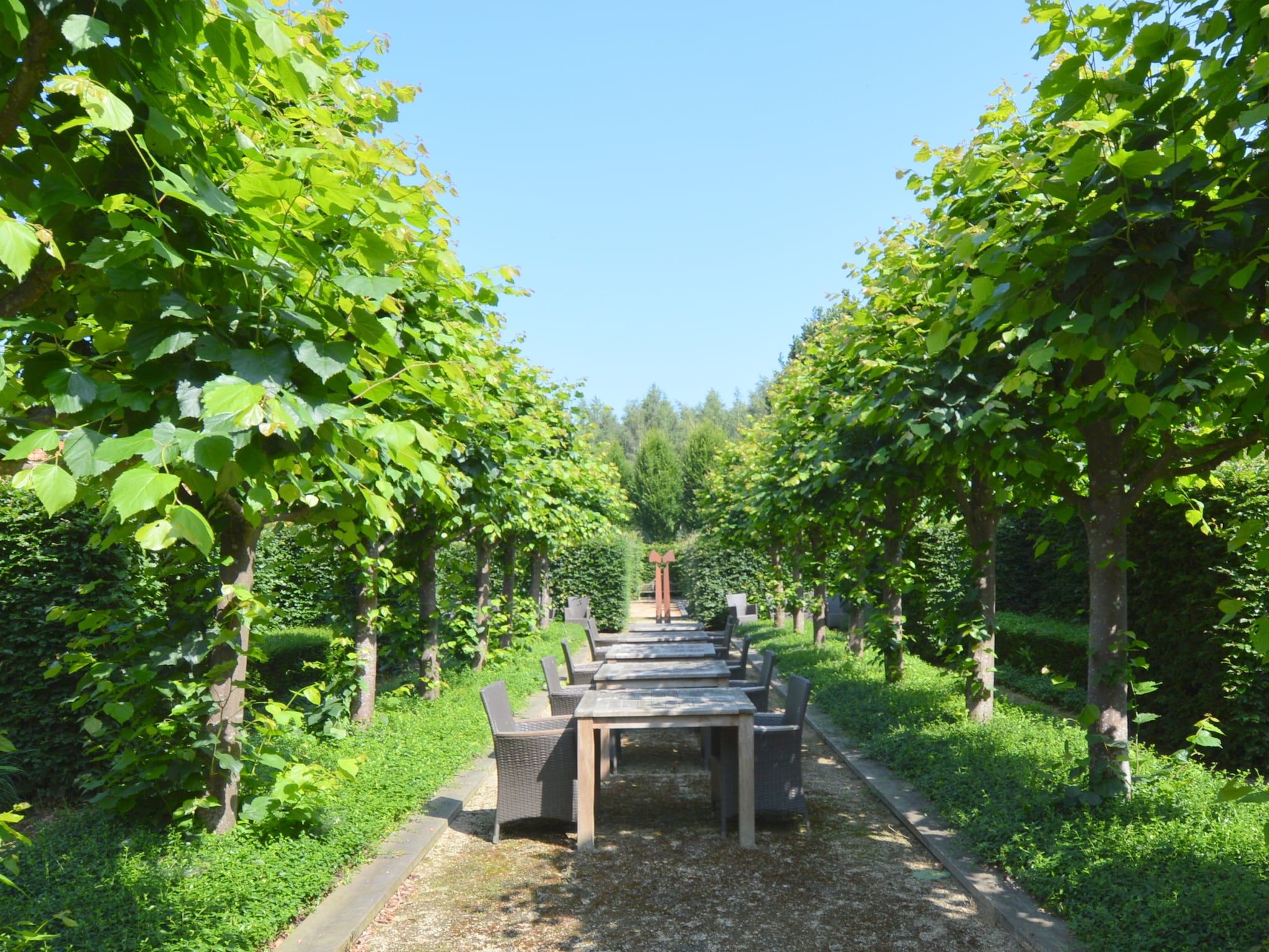 De tuin van La Grande Maison Douce in Alphen