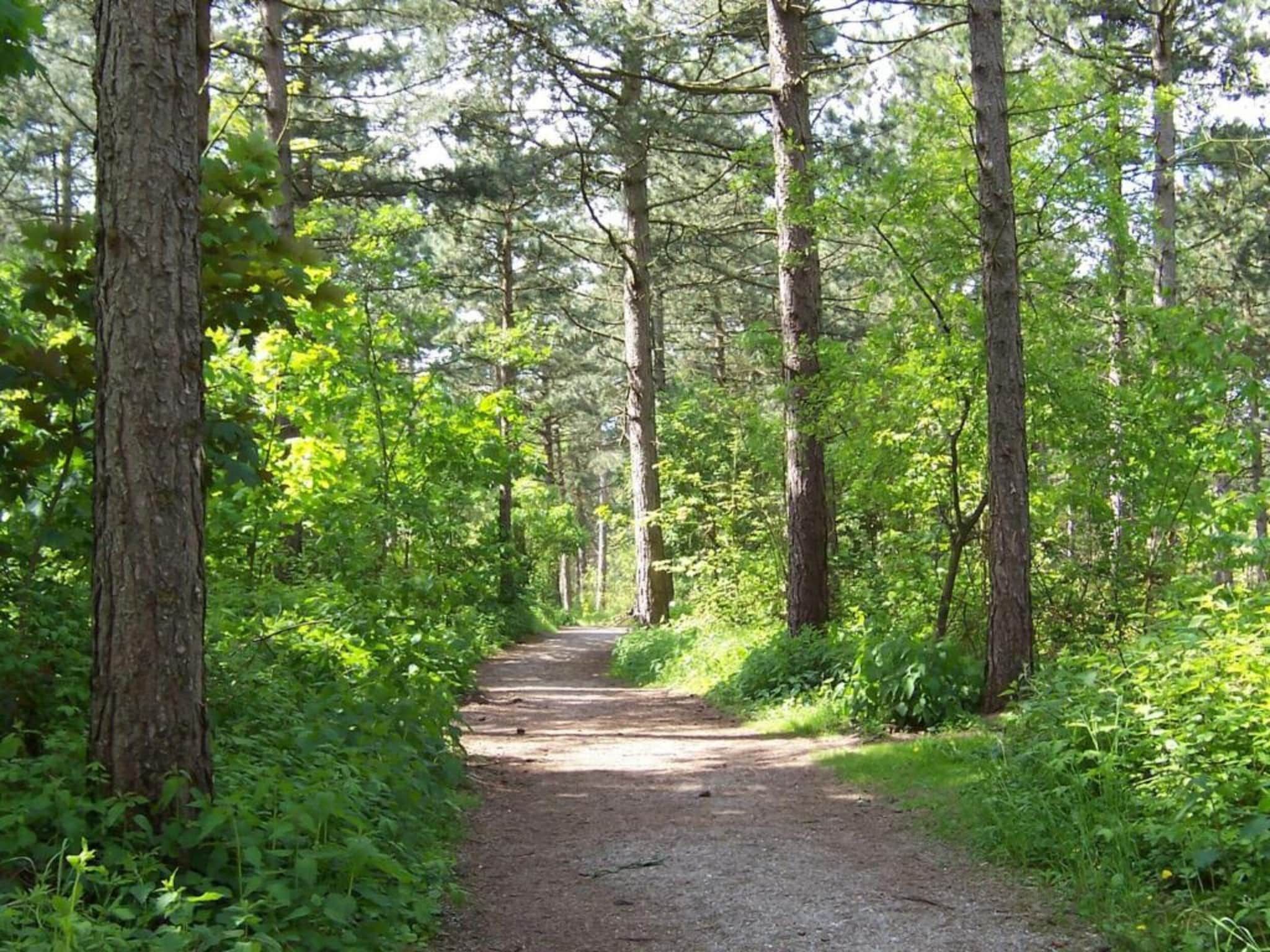 De omgeving van Bungalowpark de Gouden Spar 5 in Noordwijk