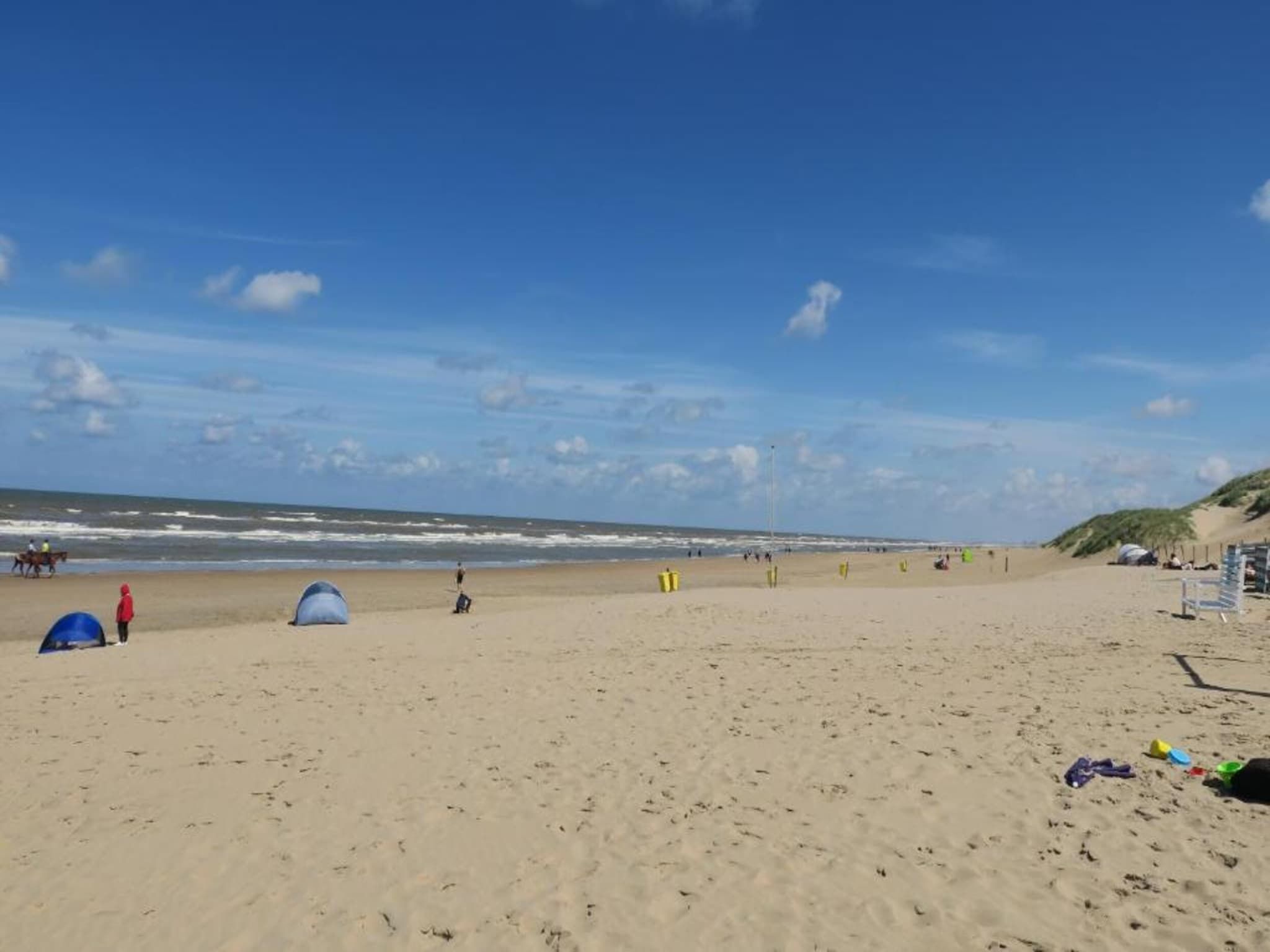 De omgeving van Bungalowpark de Gouden Spar 5 in Noordwijk