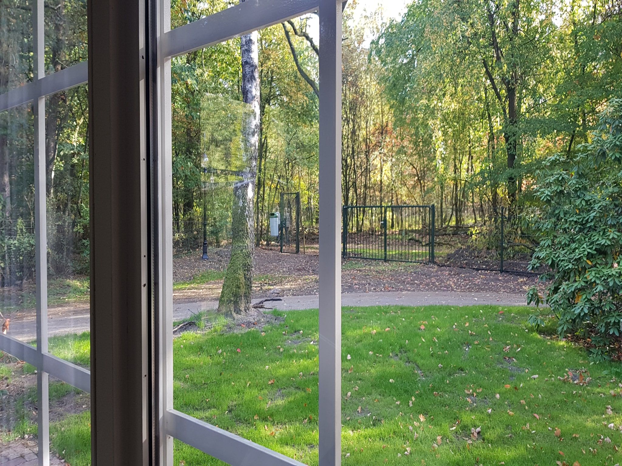 Het uitzicht vanaf Vakantiepark De Rimboe & De Woeste Hoogte 1 in Hoenderloo