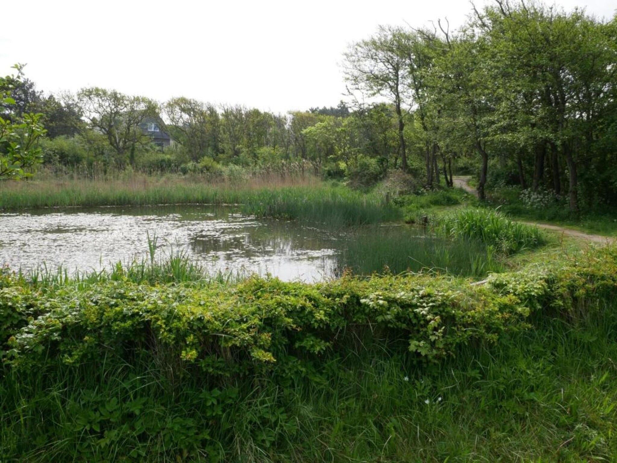 Huize Glory Diamant in Bergen aan zee - Foto 28 van 43