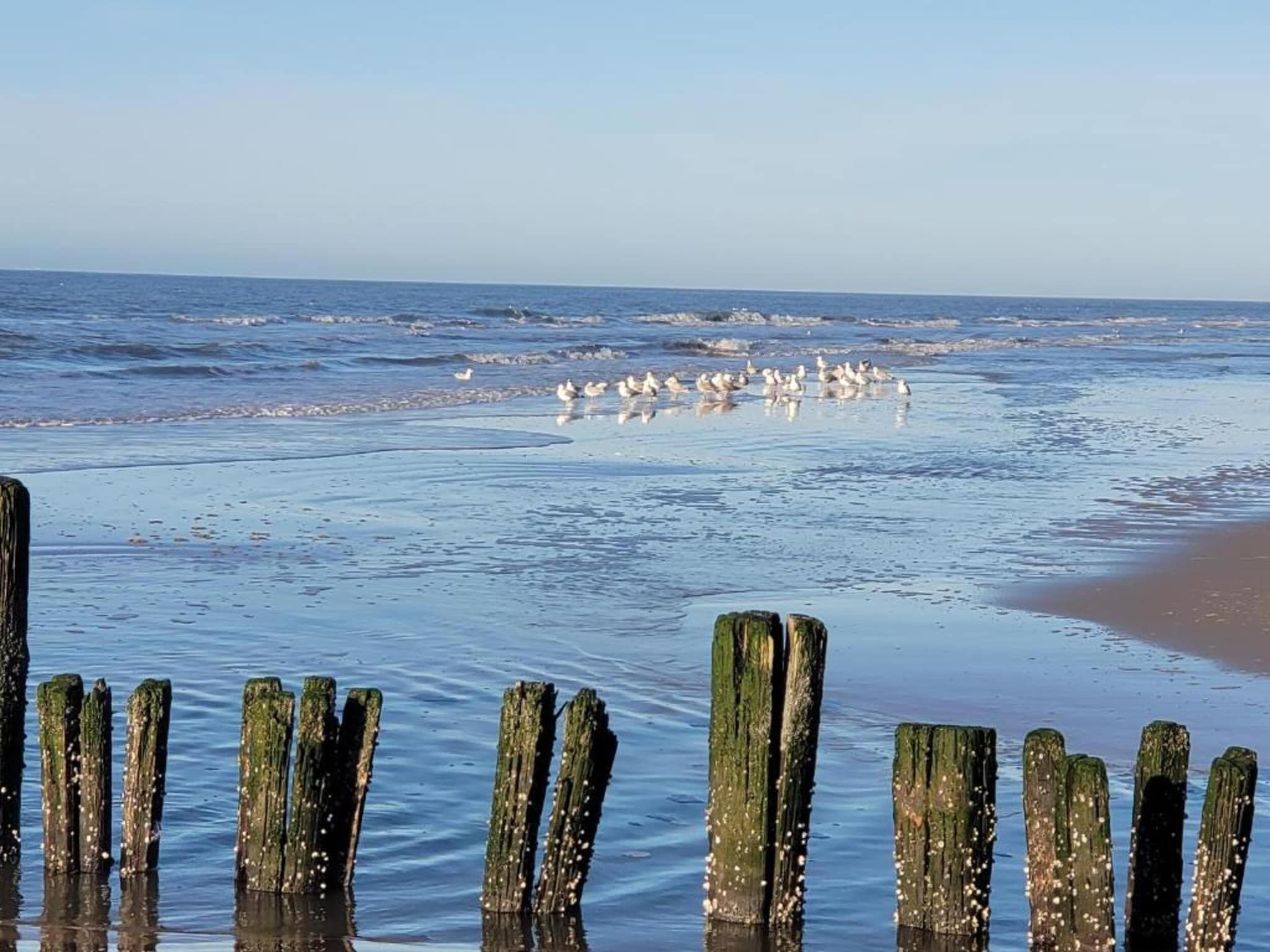 Huize Glory Diamant in Bergen aan zee - Foto 34 van 43