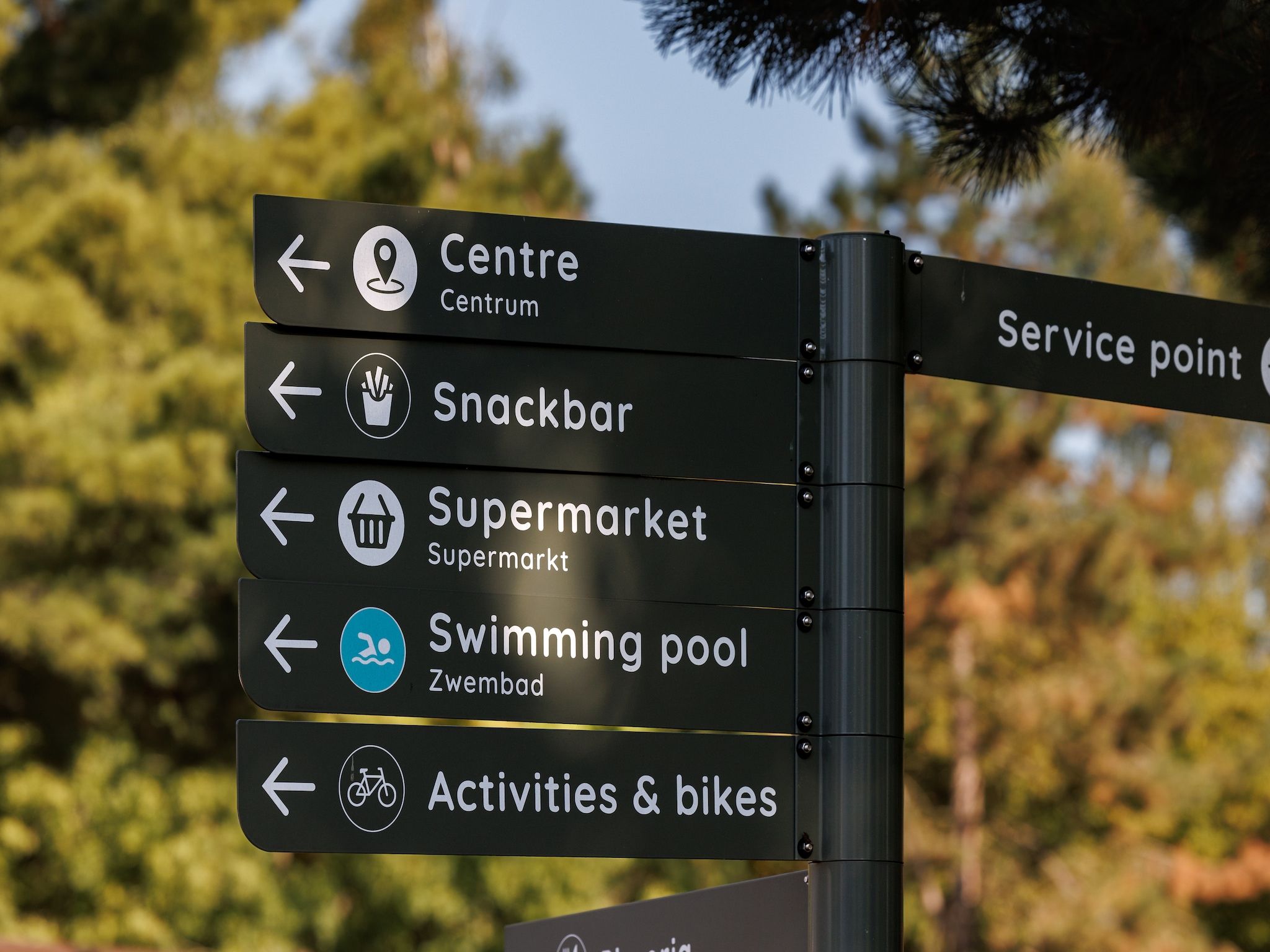 Sfeerbeeld van Vakantiepark Weerterbergen 6 in Weert