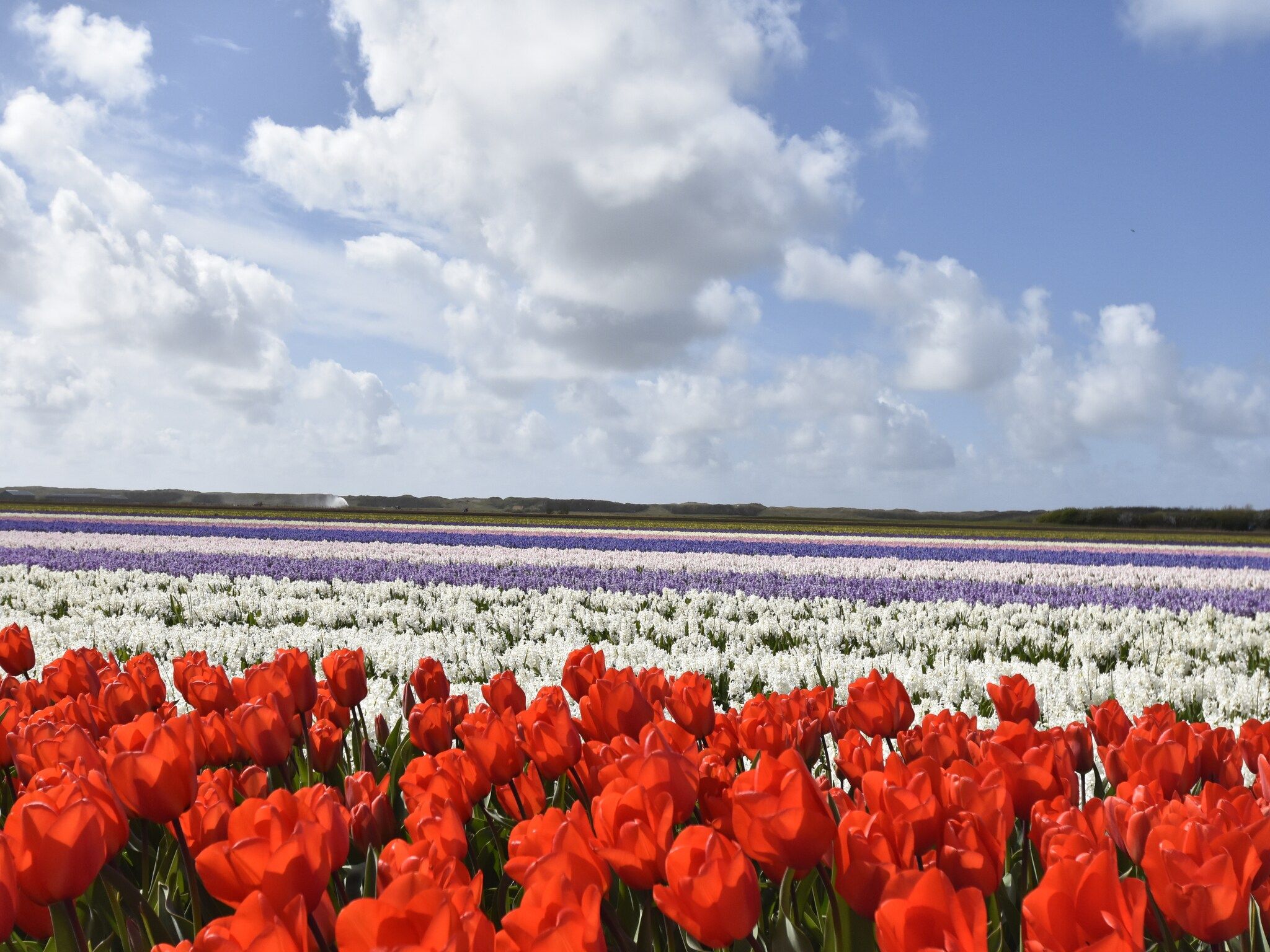 Sfeerbeeld van Hazenborgh - Strandhuys in Callantsoog