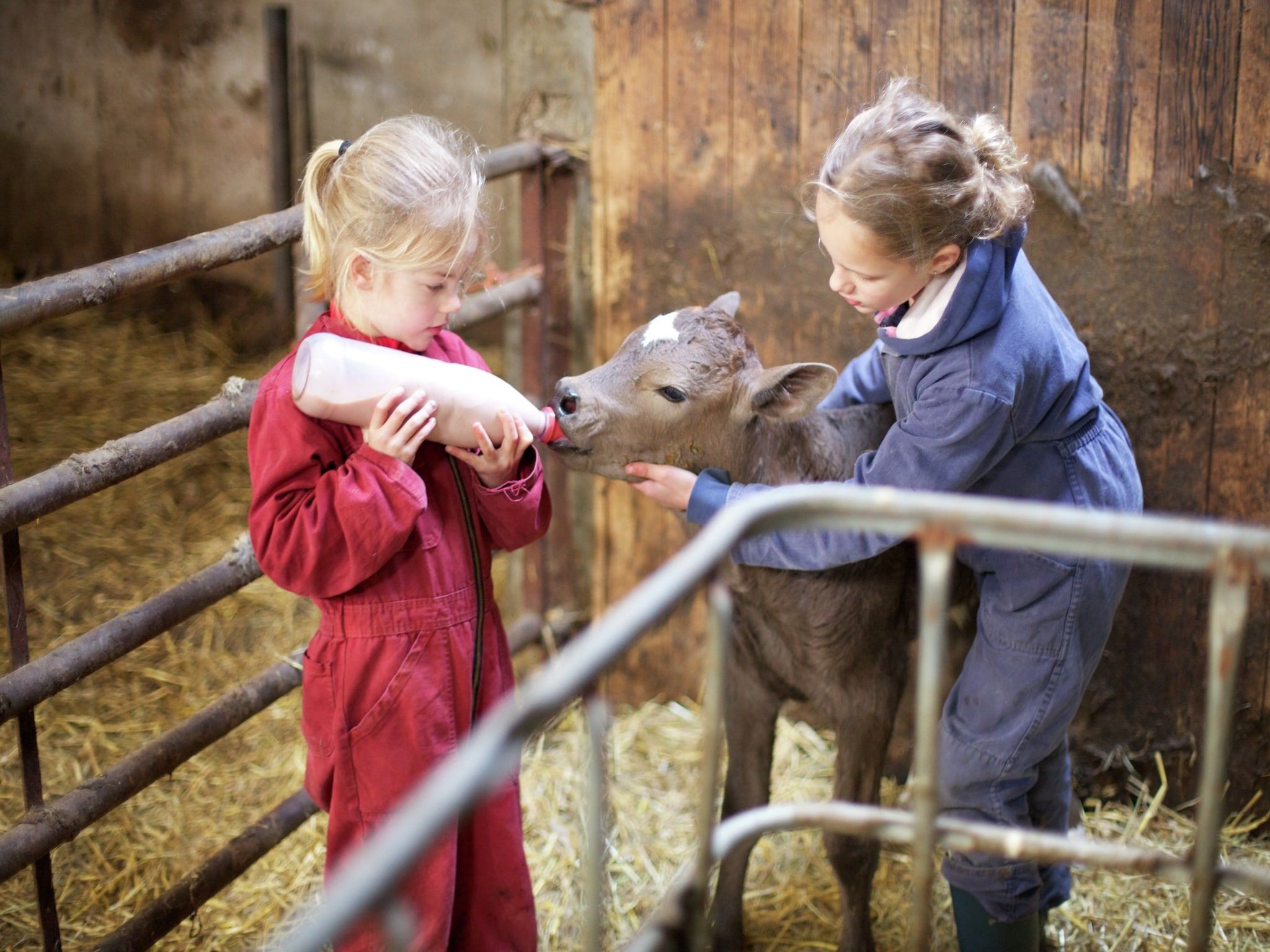 Voorzieningen bij Koe in de Kost 3 in Heeten