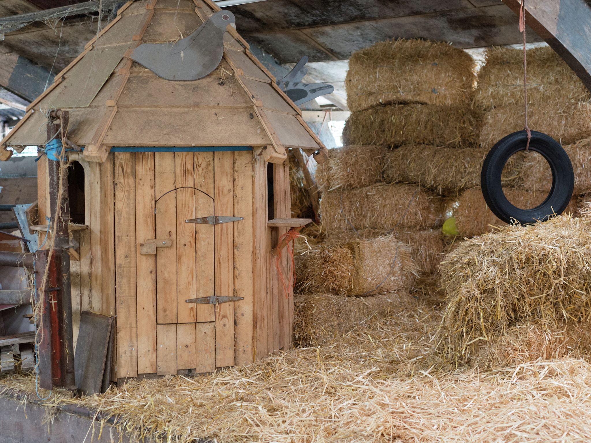 Sfeerbeeld van Koe in de Kost 3 in Heeten