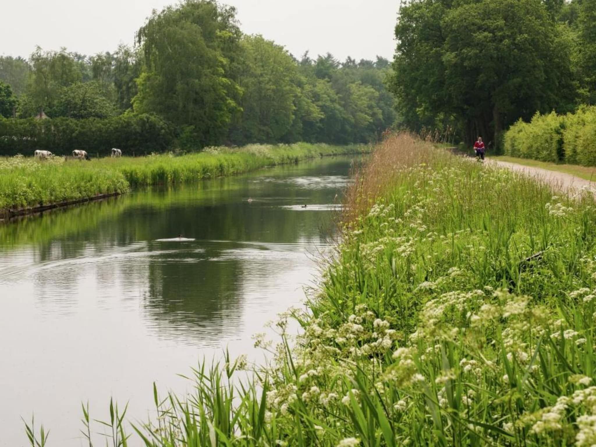 Koe in de Kost 3 in Heeten - Foto 31 van 40