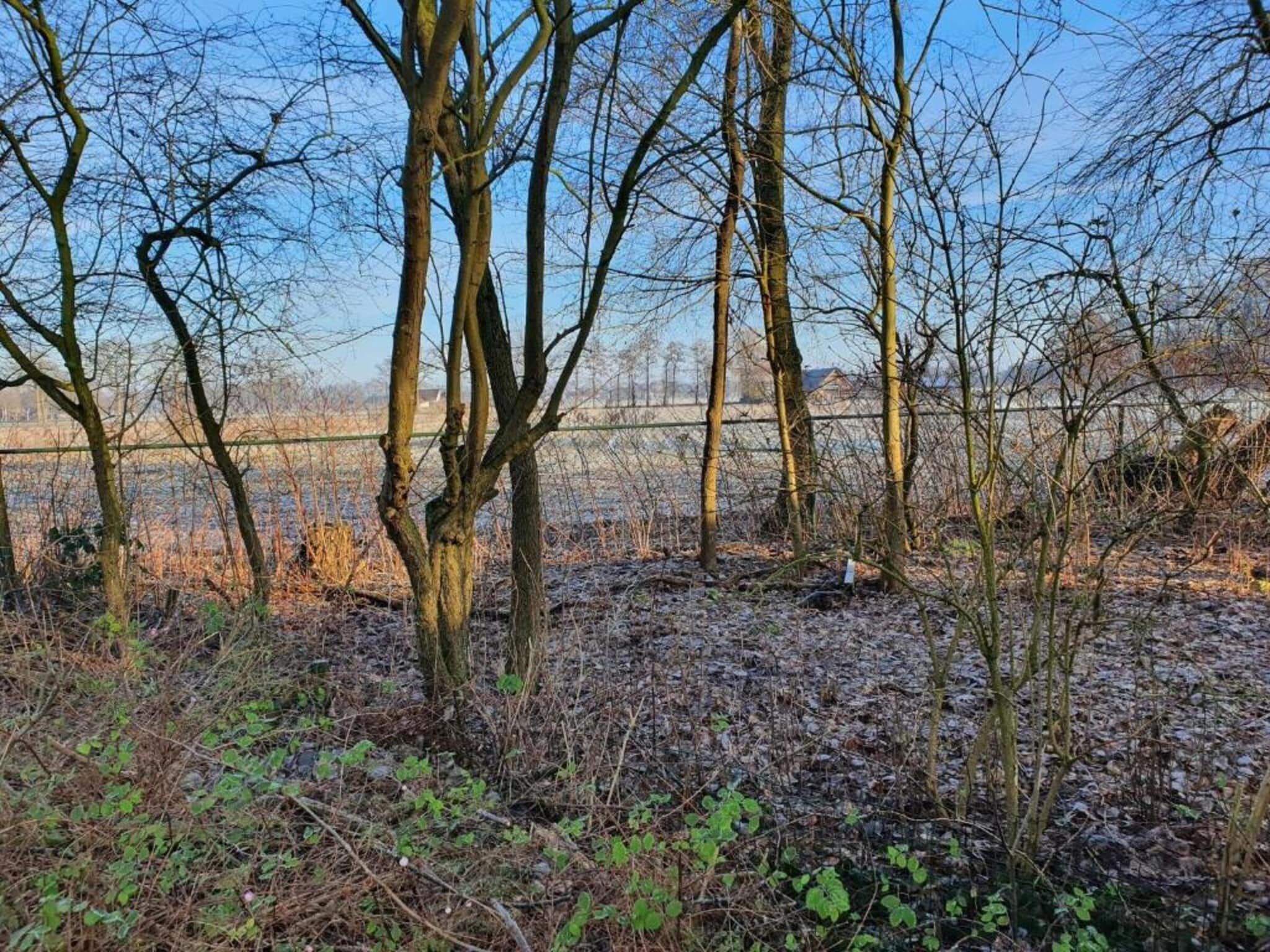 Koe in de Kost 3 in Heeten - Foto 32 van 40