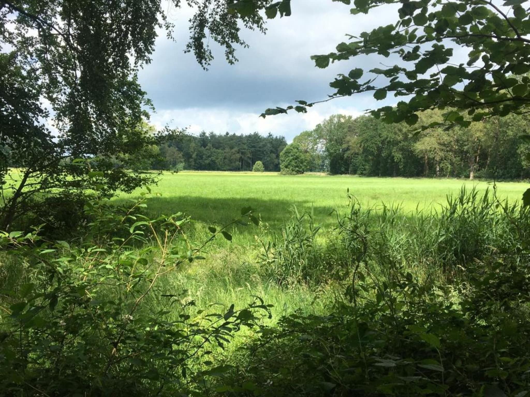 Koe in de Kost 3 in Heeten - Foto 34 van 40