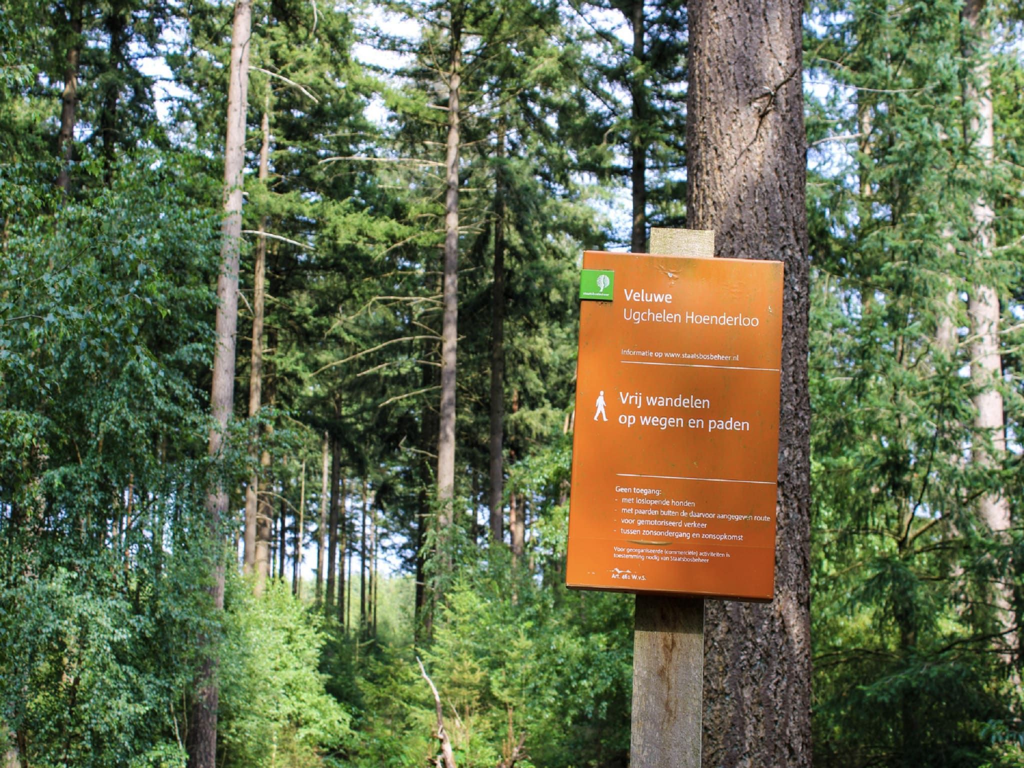 Vakantiepark De Rimboe & De Woeste Hoogte 2 in Hoenderloo - Foto 37 van 40