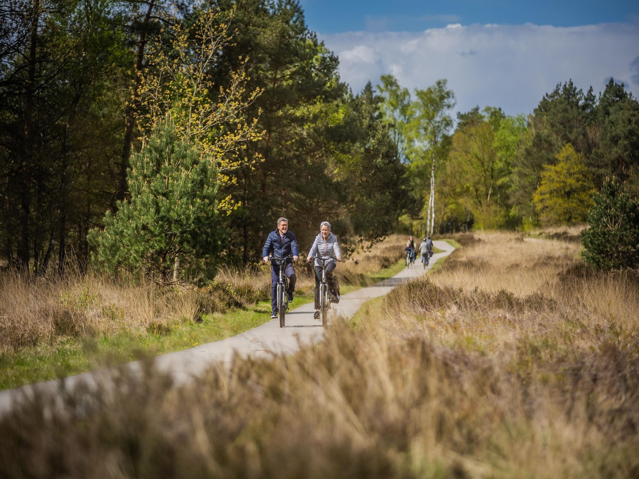 Vakantiepark De Rimboe & De Woeste Hoogte 2 in Hoenderloo - Foto 36 van 40