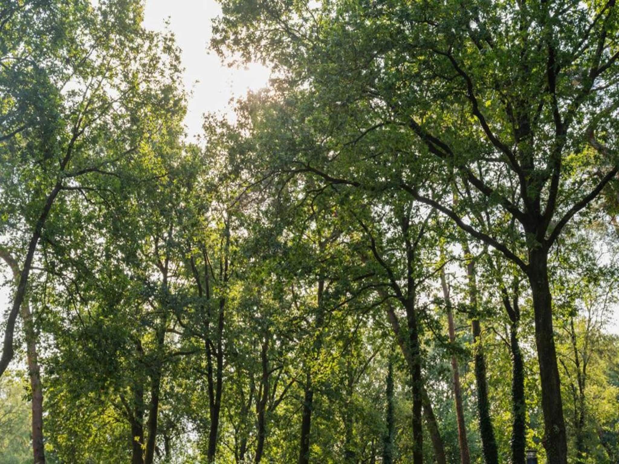 Vakantiepark De Rimboe & De Woeste Hoogte 2 in Hoenderloo - Foto 40 van 40