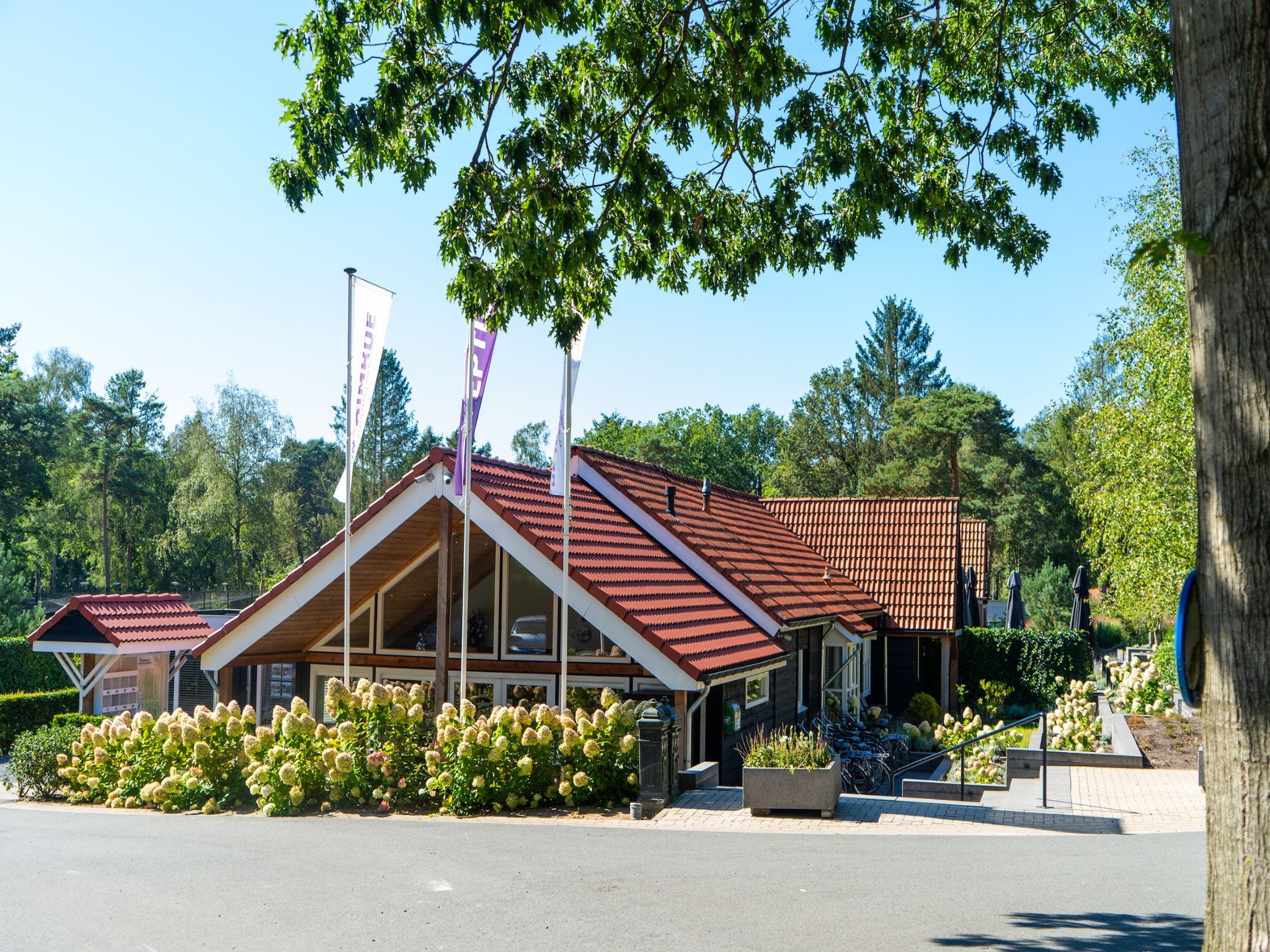 Parkfaciliteiten bij Vakantiepark De Rimboe & De Woeste Hoogte 3 in Hoenderloo
