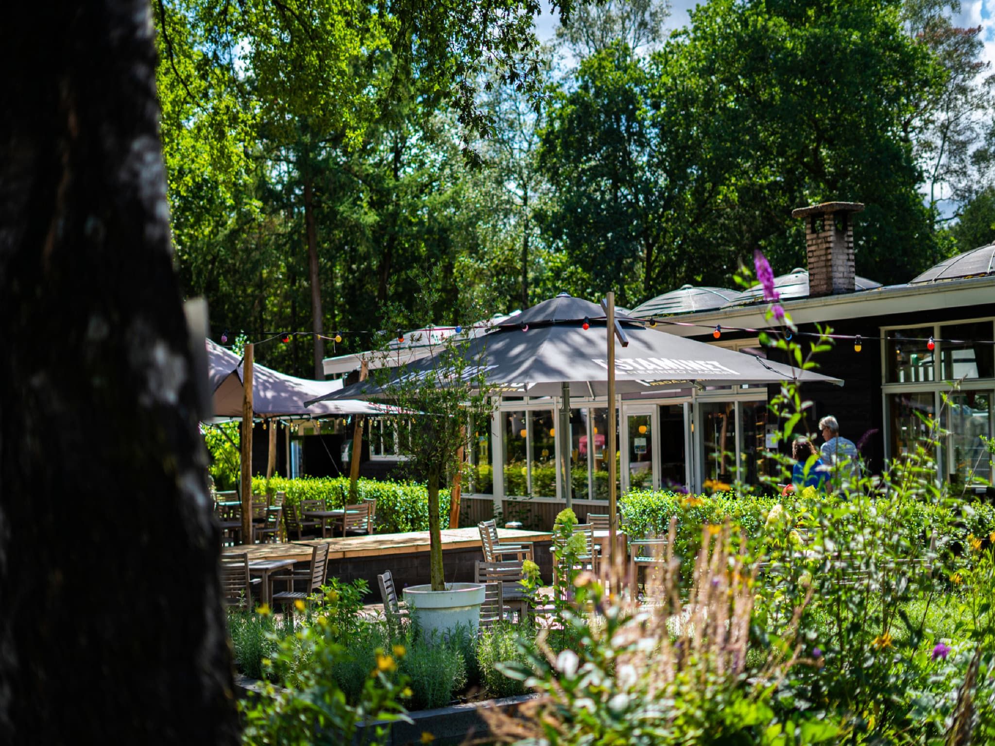 Parkfaciliteiten bij Vakantiepark De Rimboe & De Woeste Hoogte 3 in Hoenderloo