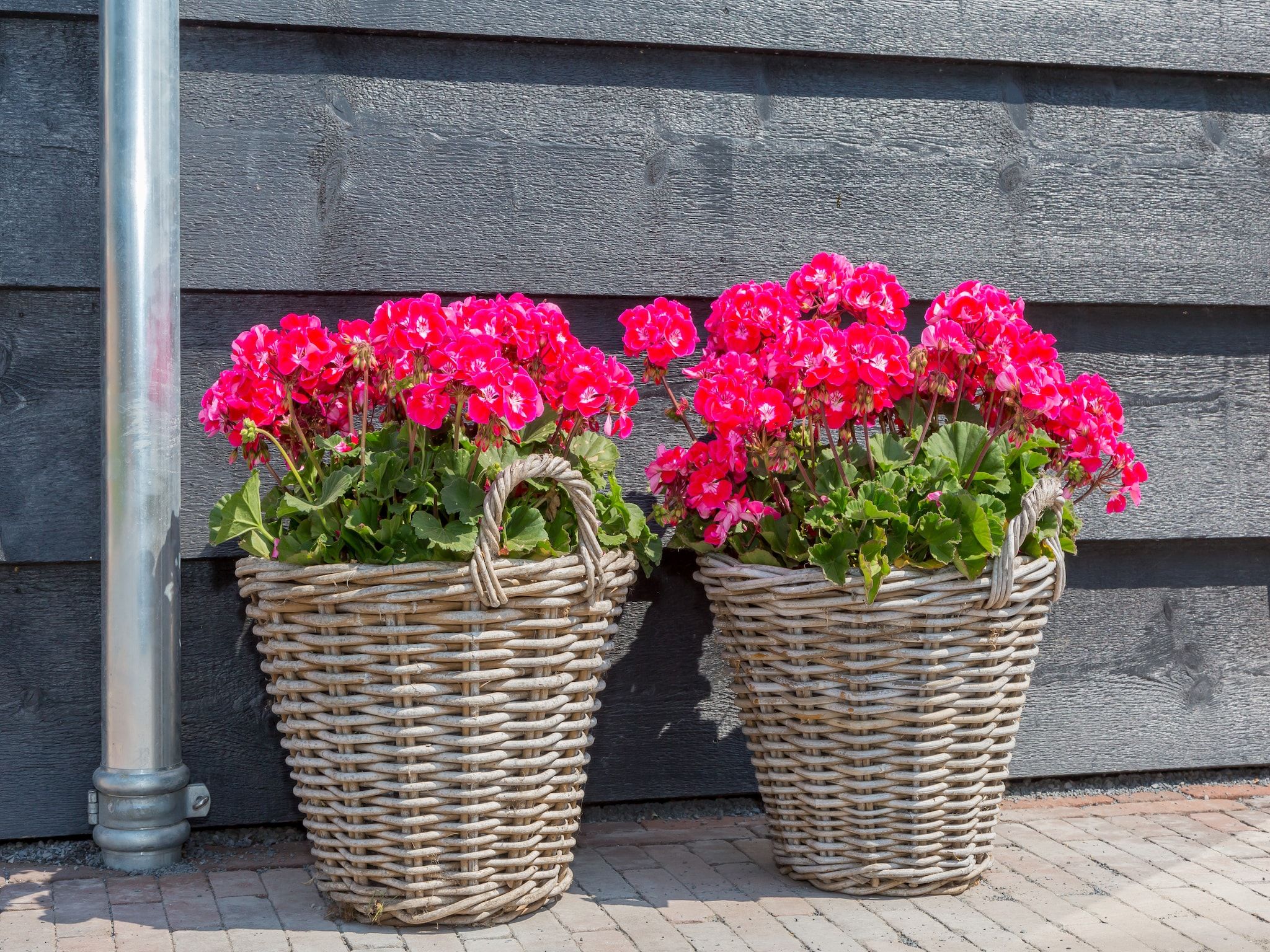 Sfeerbeeld van Lepelstraat 18B  Vrouwenpolder "'t Zwartje" in Vrouwenpolder