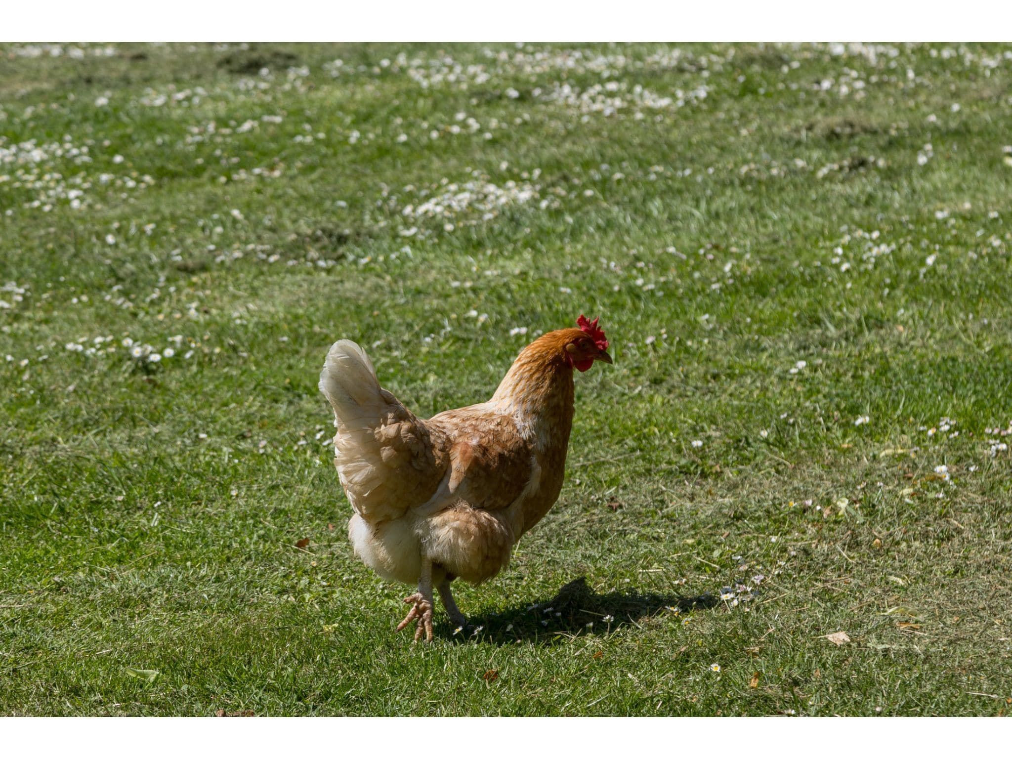 Sfeerbeeld van Familiehuis - Lepelstraat 18AB  Vrouwenpolder in Vrouwenpolder