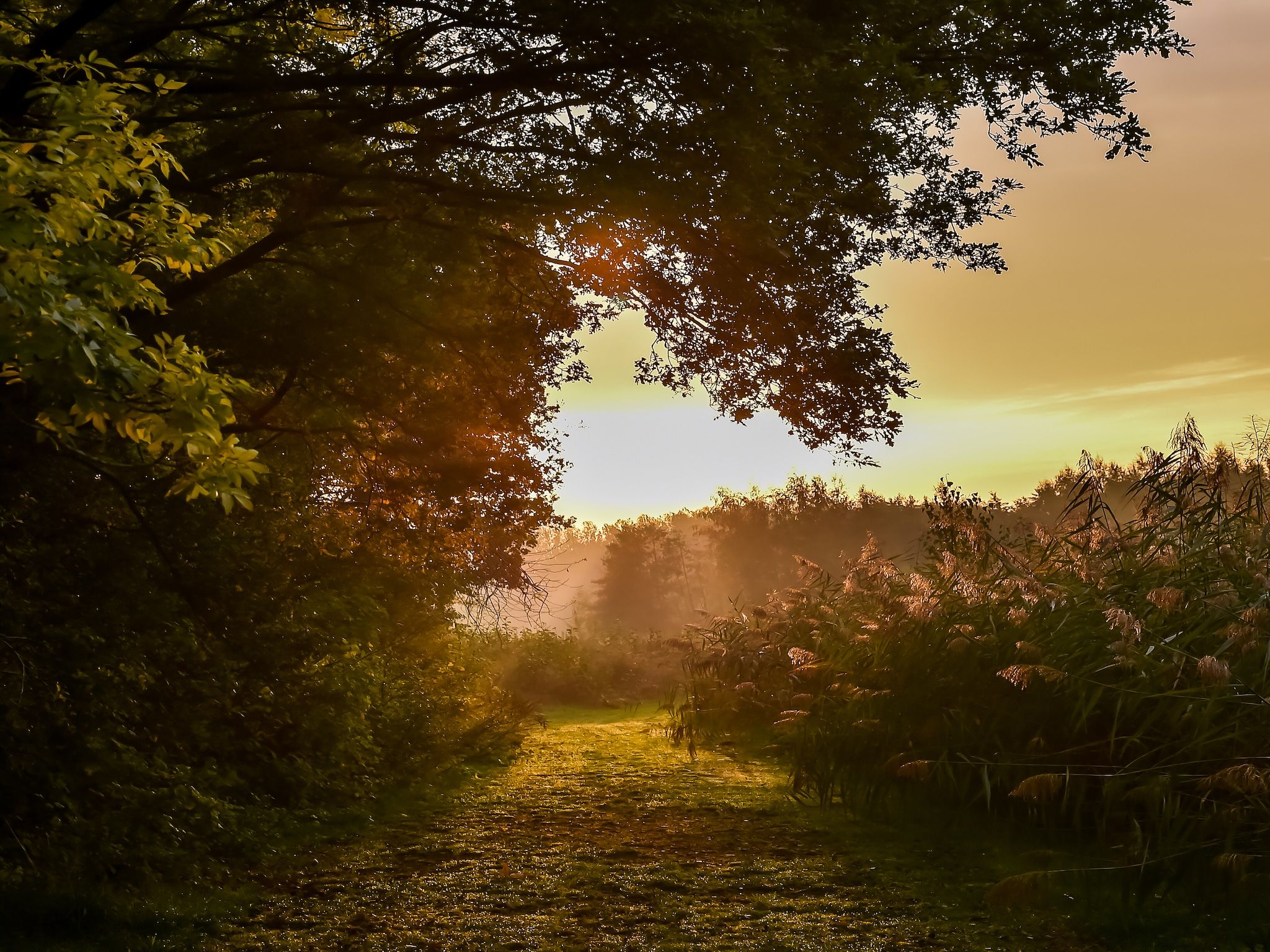 De omgeving van Vakantiepark Mölke 16 in Zuna