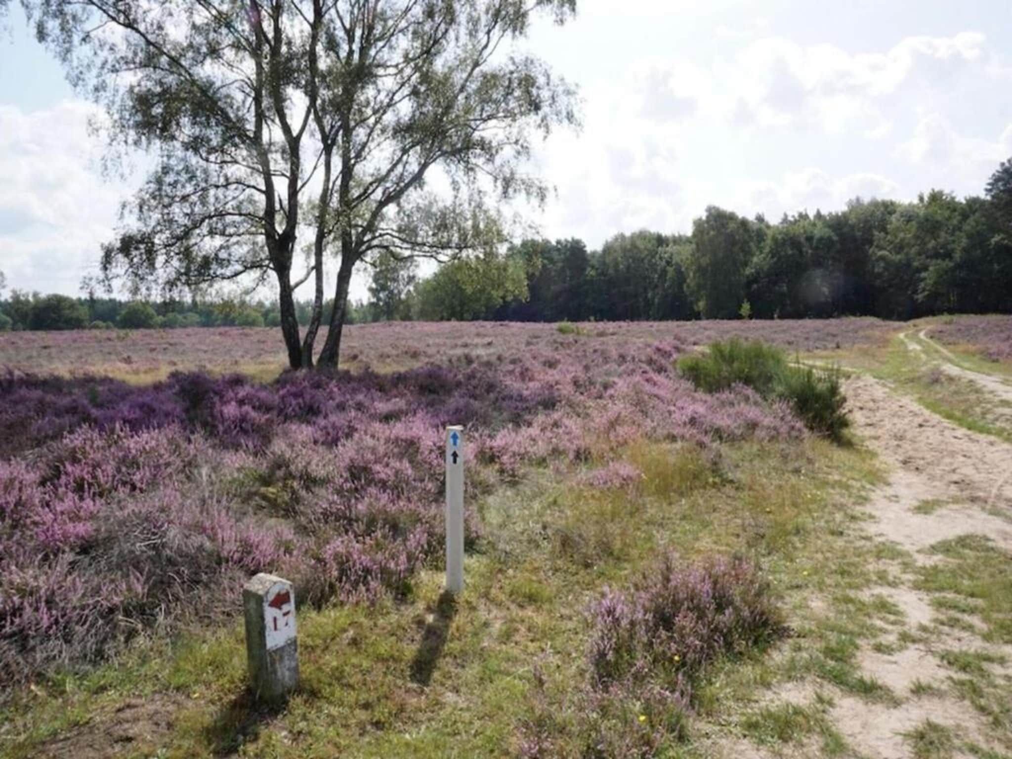 De omgeving van Hof van Salland 8 in Hellendoorn