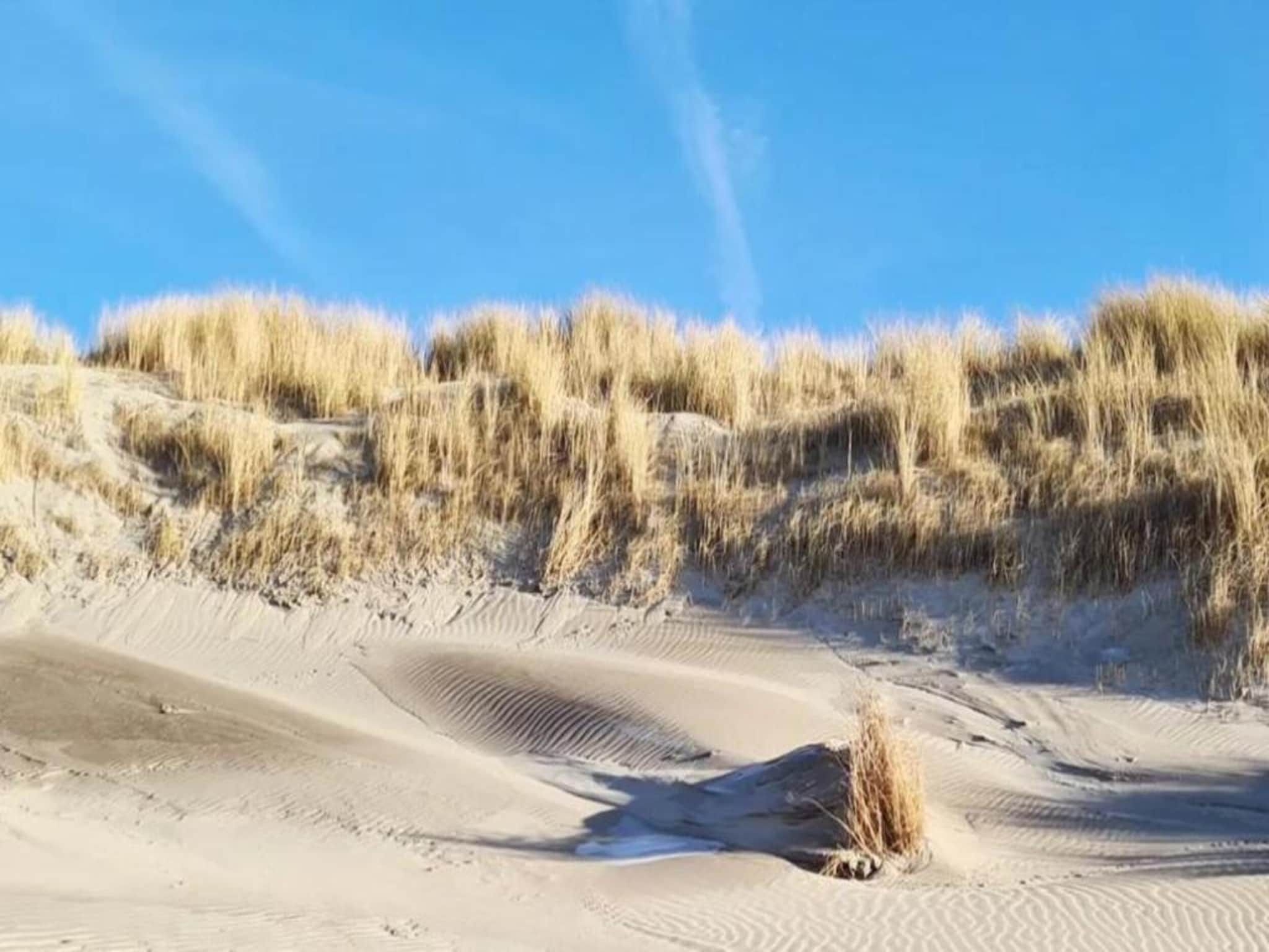 Strandpark Vlugtenburg 9 in 's-Gravenzande - Foto 37 van 40