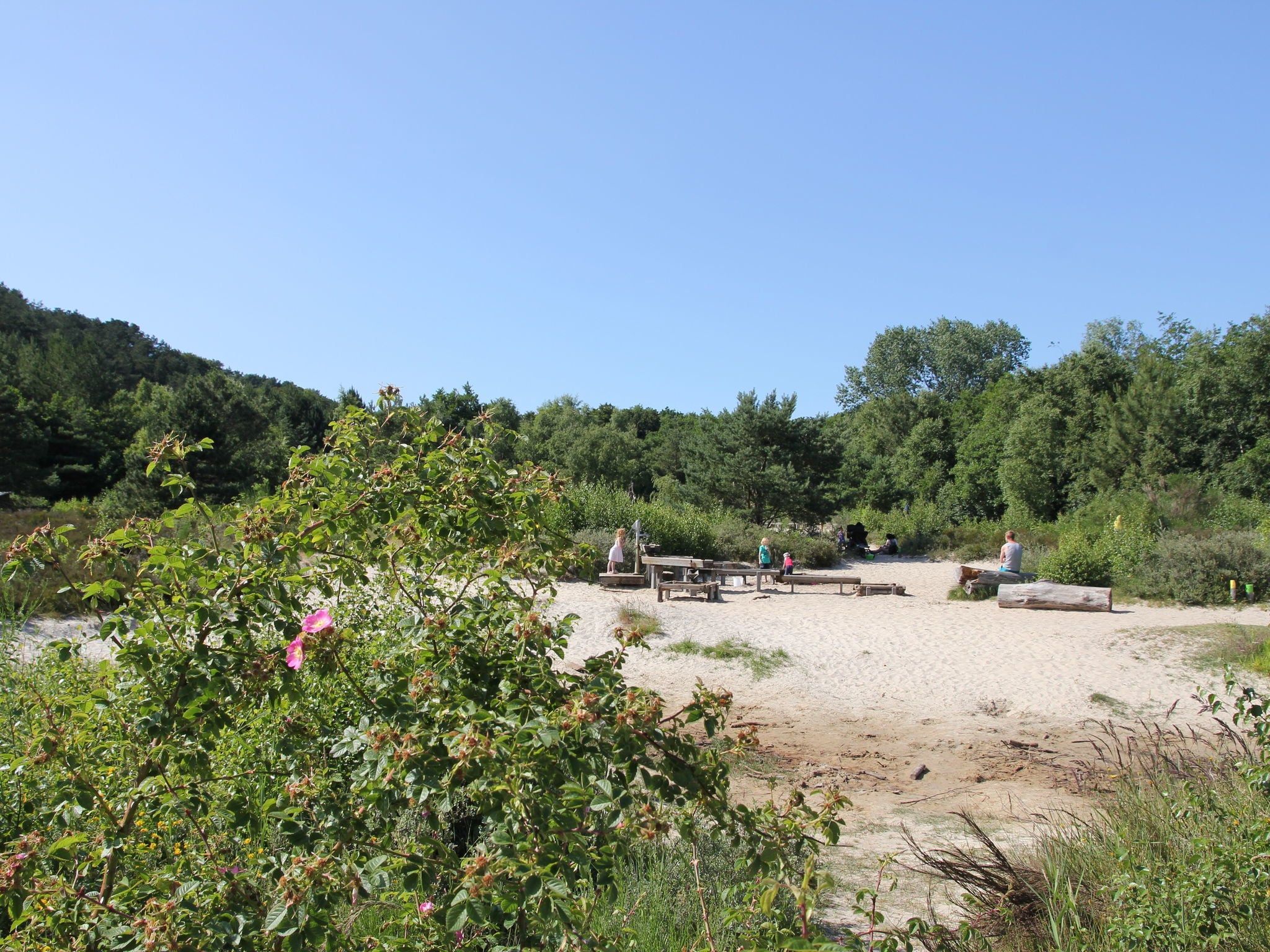 De omgeving van Scoreldame XL in Schoorldam