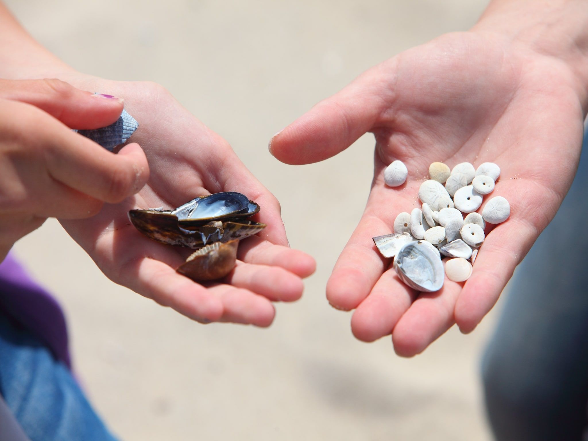 Sfeerbeeld van Vakantiepark Zeebad 9 in Breskens