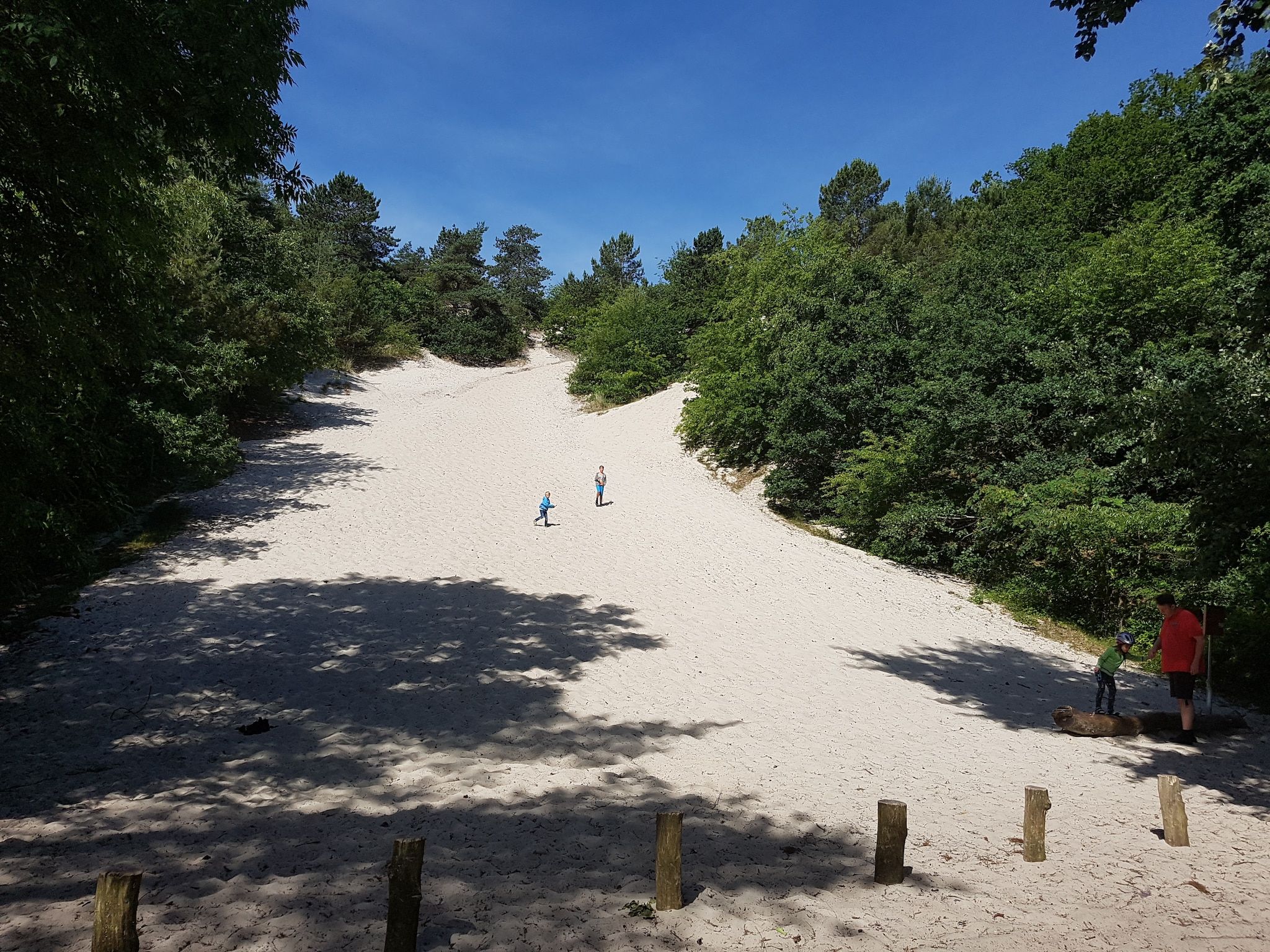 De omgeving van De Groene Lantaarn in Groet (Schoorl)