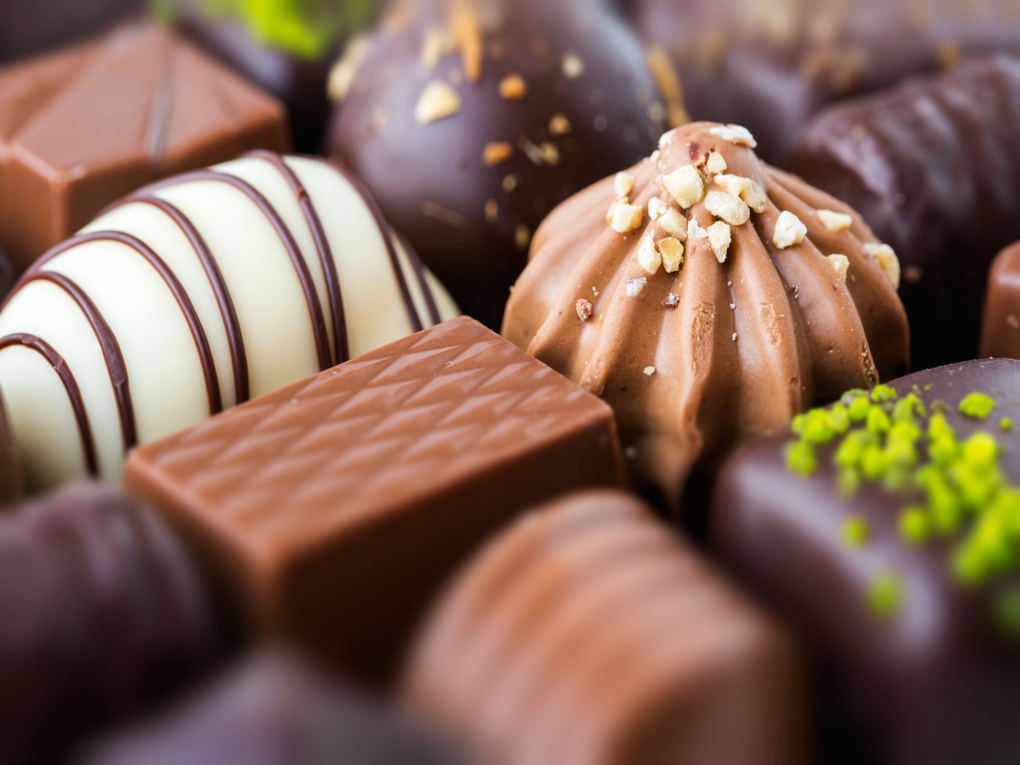 Beach Resort Nieuwvliet-Bad 6 in Nieuwvliet-Bad - Foto 25 van 40