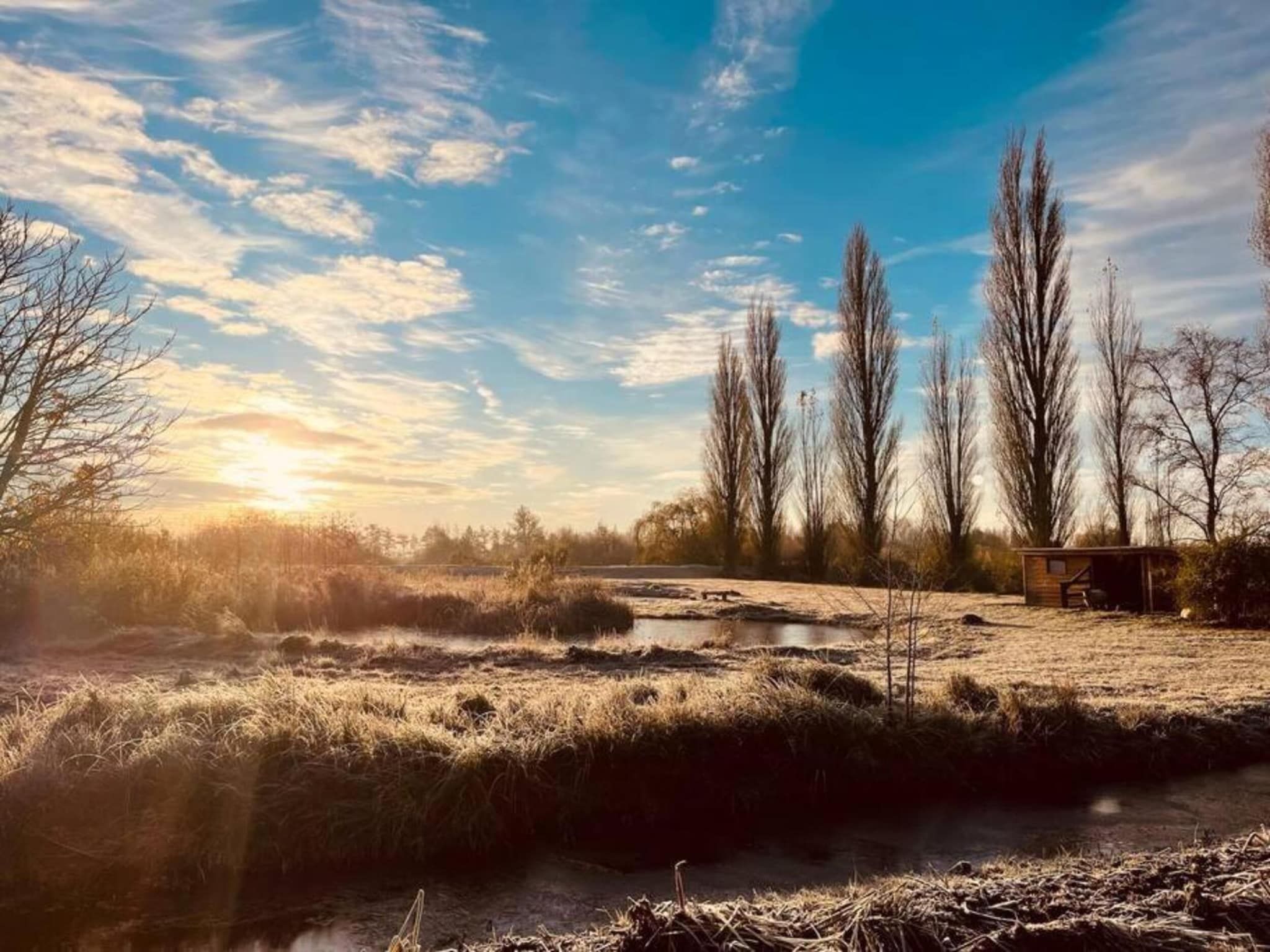 Friese Meren Villa's 7 in Delfstrahuizen - Foto 17 van 38