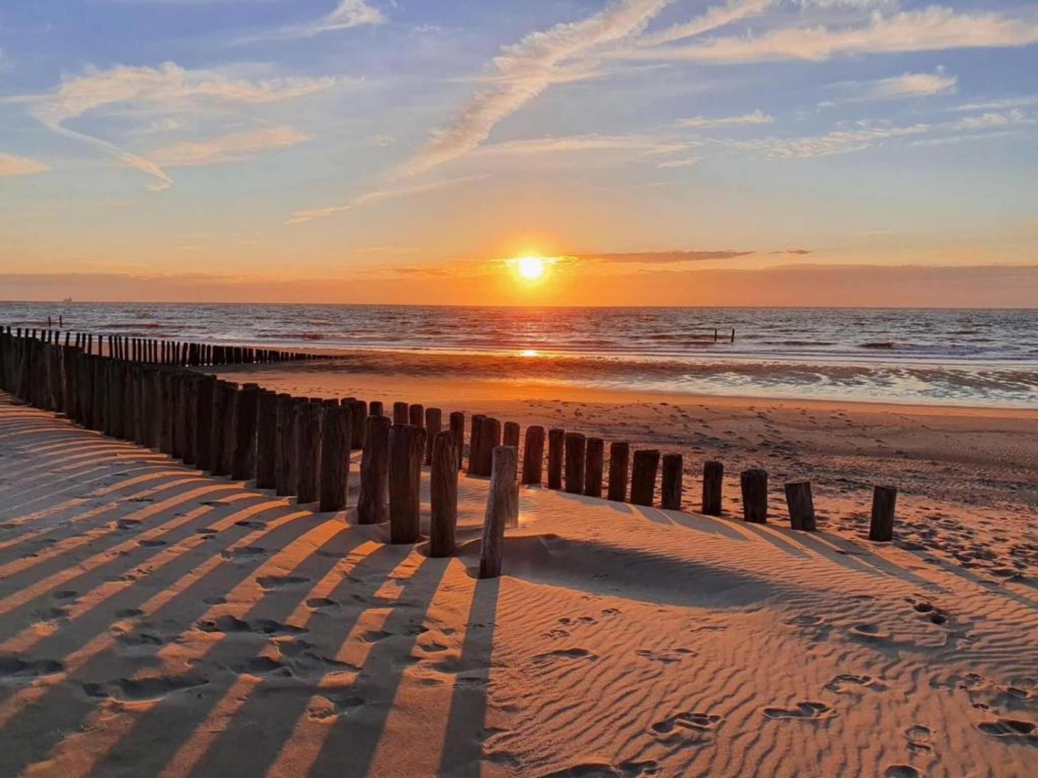 De omgeving van Beach Resort Nieuwvliet-Bad 9 in Nieuwvliet-Bad