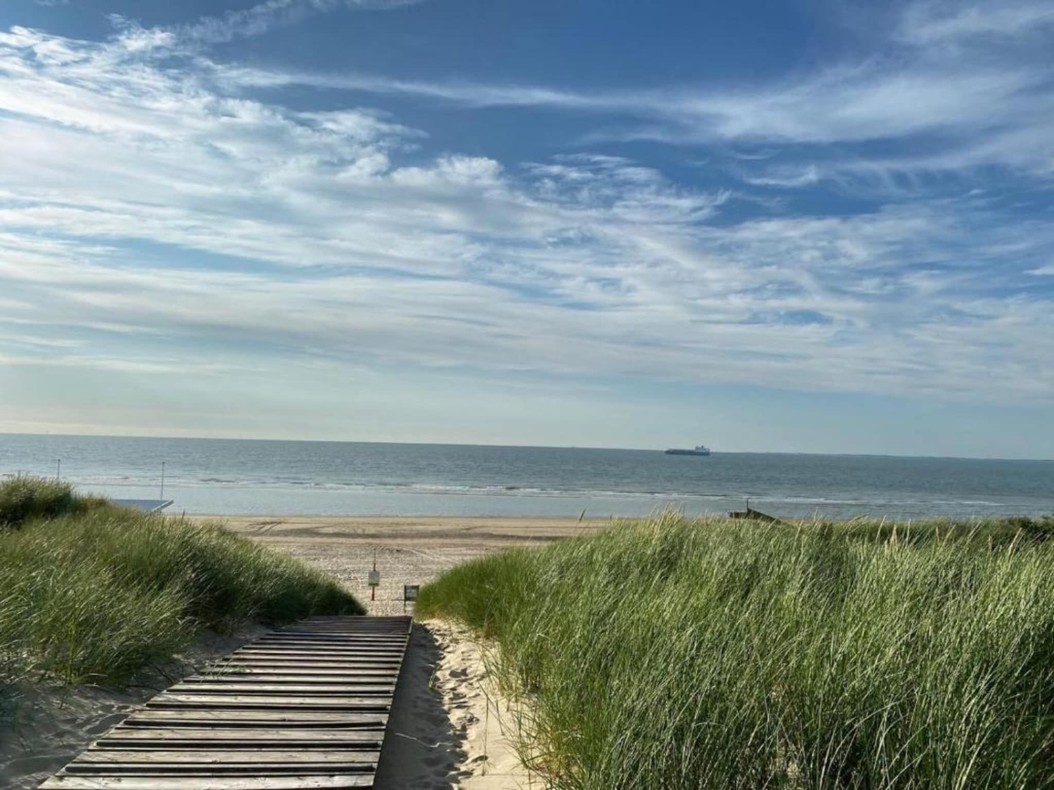 De omgeving van Beach Resort Nieuwvliet-Bad 9 in Nieuwvliet-Bad