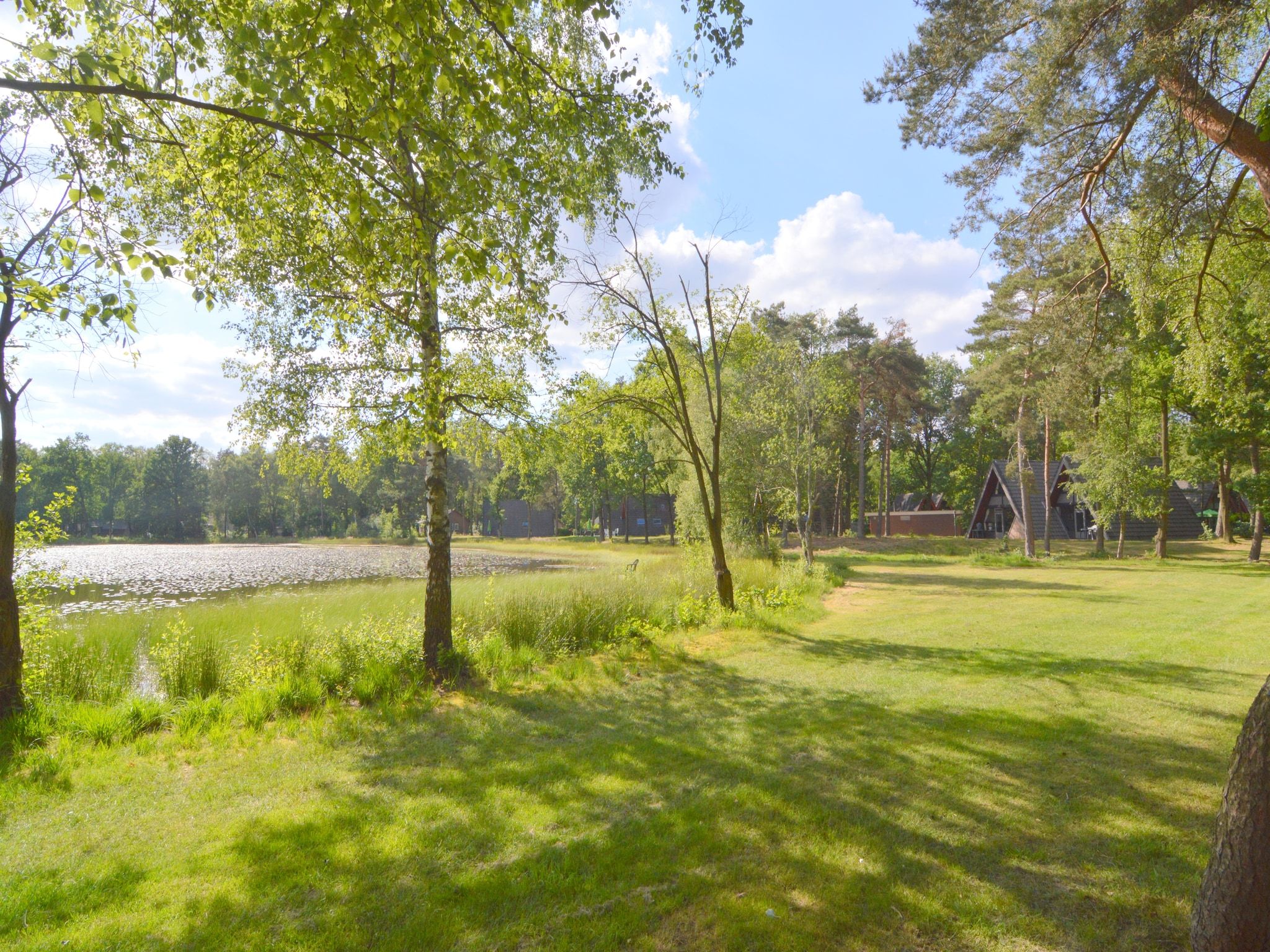 De omgeving van Bungalow 64 en 65 in Stramproy