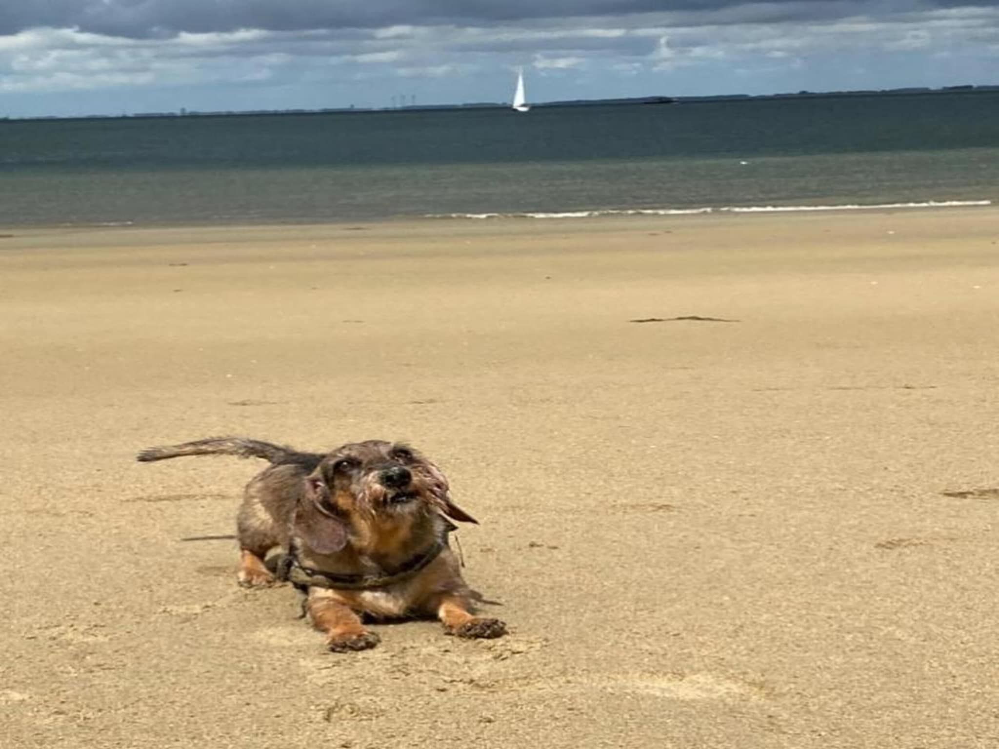 Resort Waterrijk Oesterdam 8 in Tholen - Foto 27 van 40