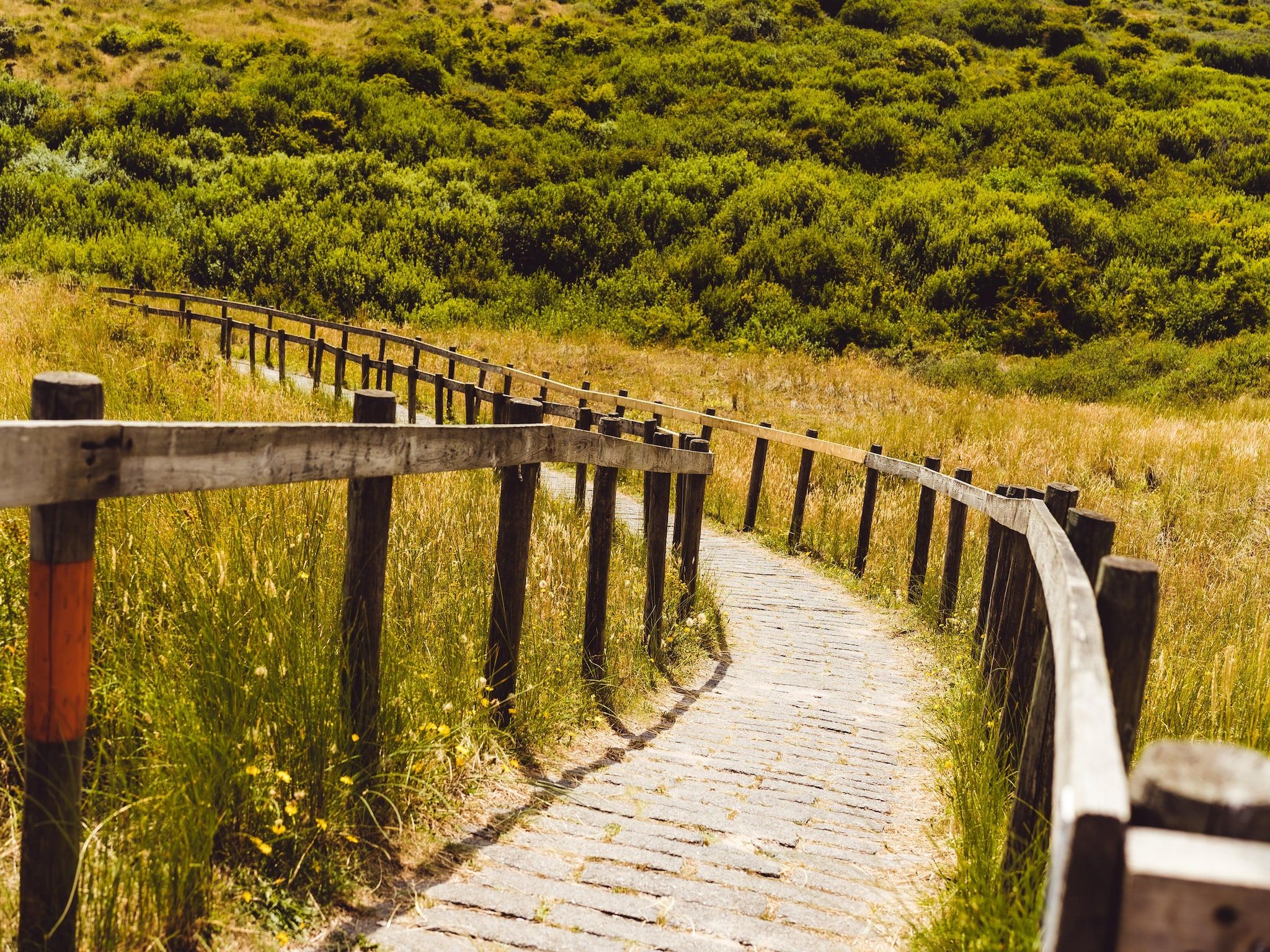 De omgeving van Vakantiepark Boomhiemke 15 in Hollum