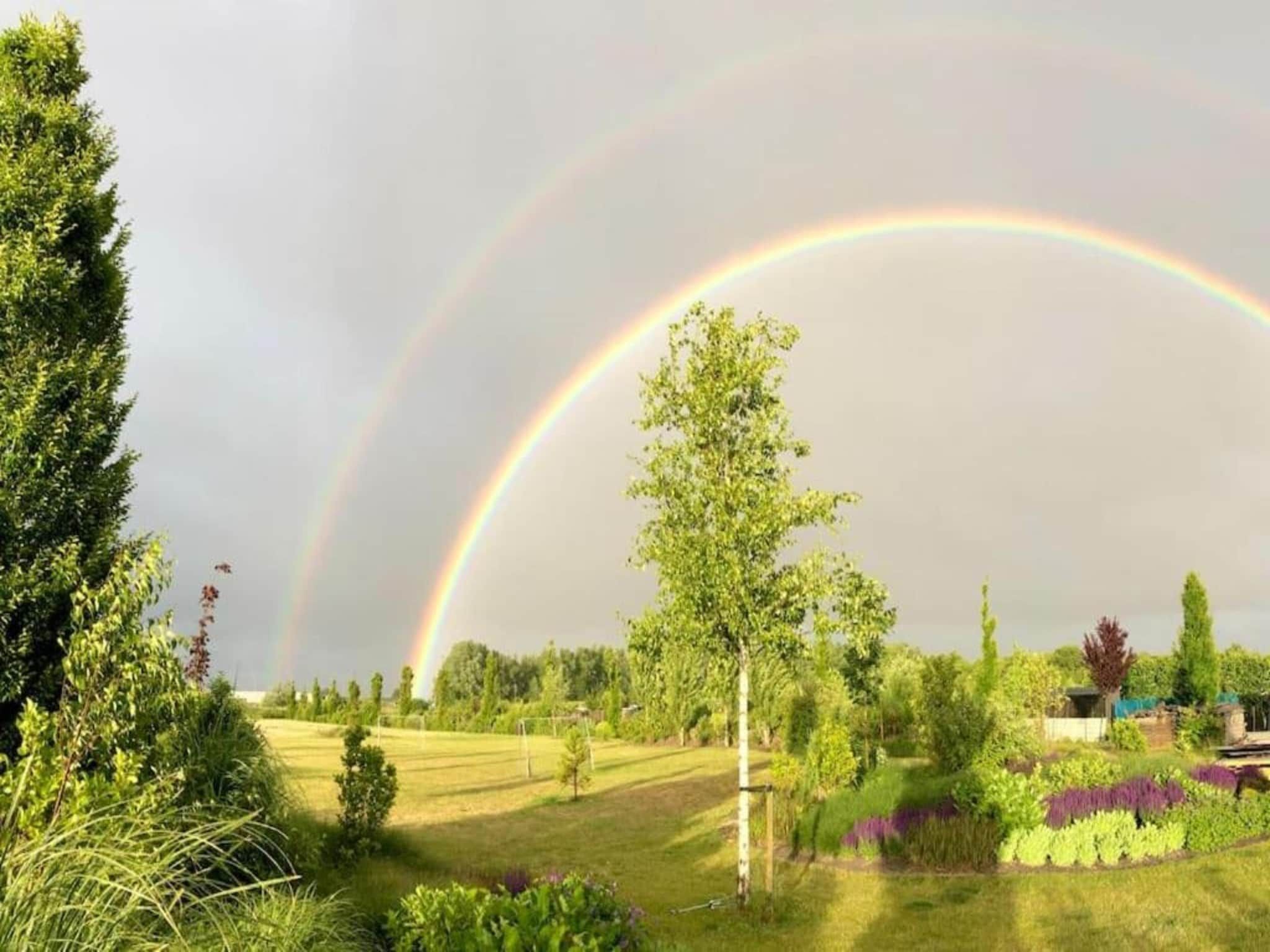 Resort Waterrijk Oesterdam 9 in Tholen - Foto 25 van 40