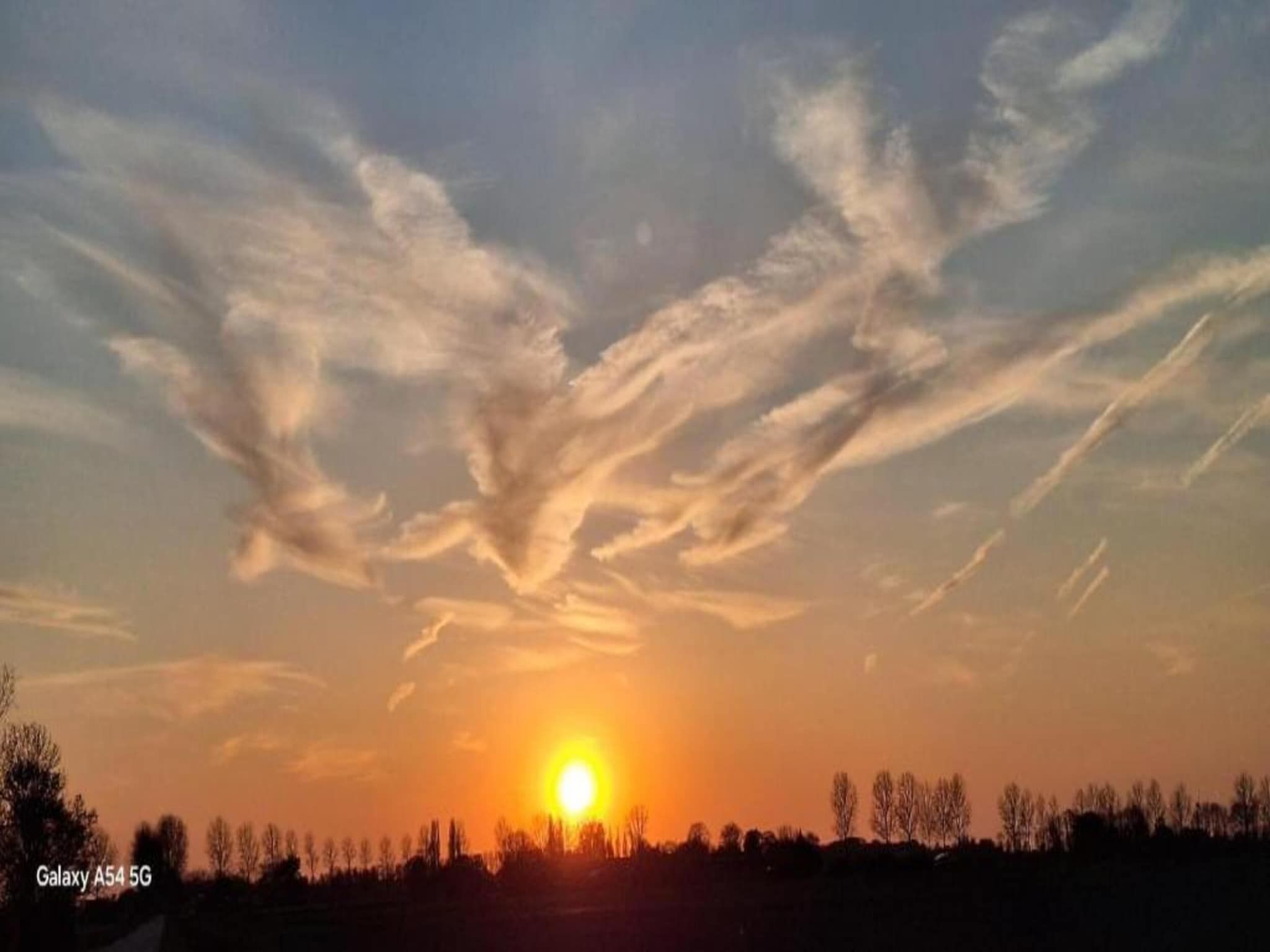 Resort Waterrijk Oesterdam 9 in Tholen - Foto 23 van 40