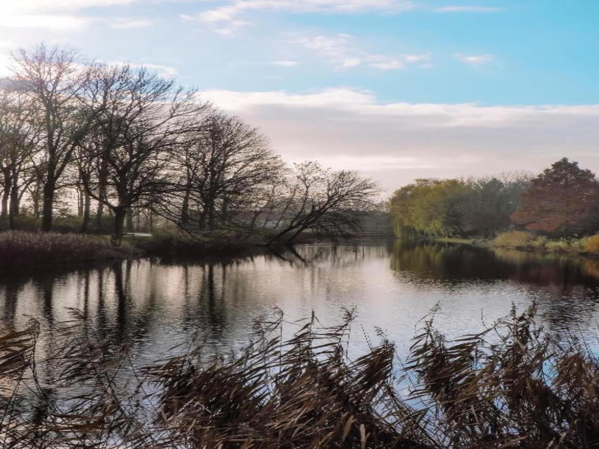 Resort Waterrijk Oesterdam 11 in Tholen - Foto 31 van 40