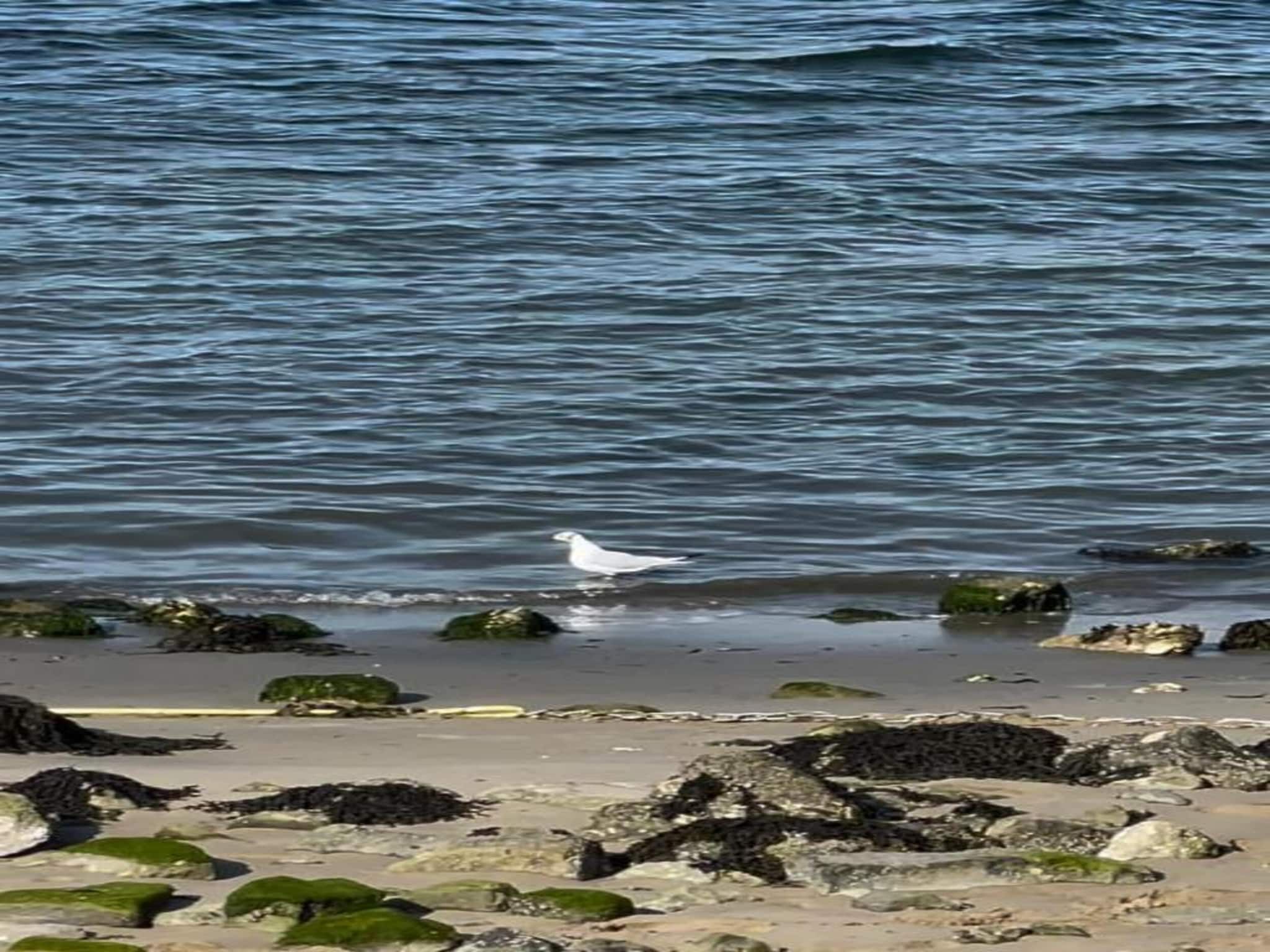 Resort Waterrijk Oesterdam 11 in Tholen - Foto 25 van 40