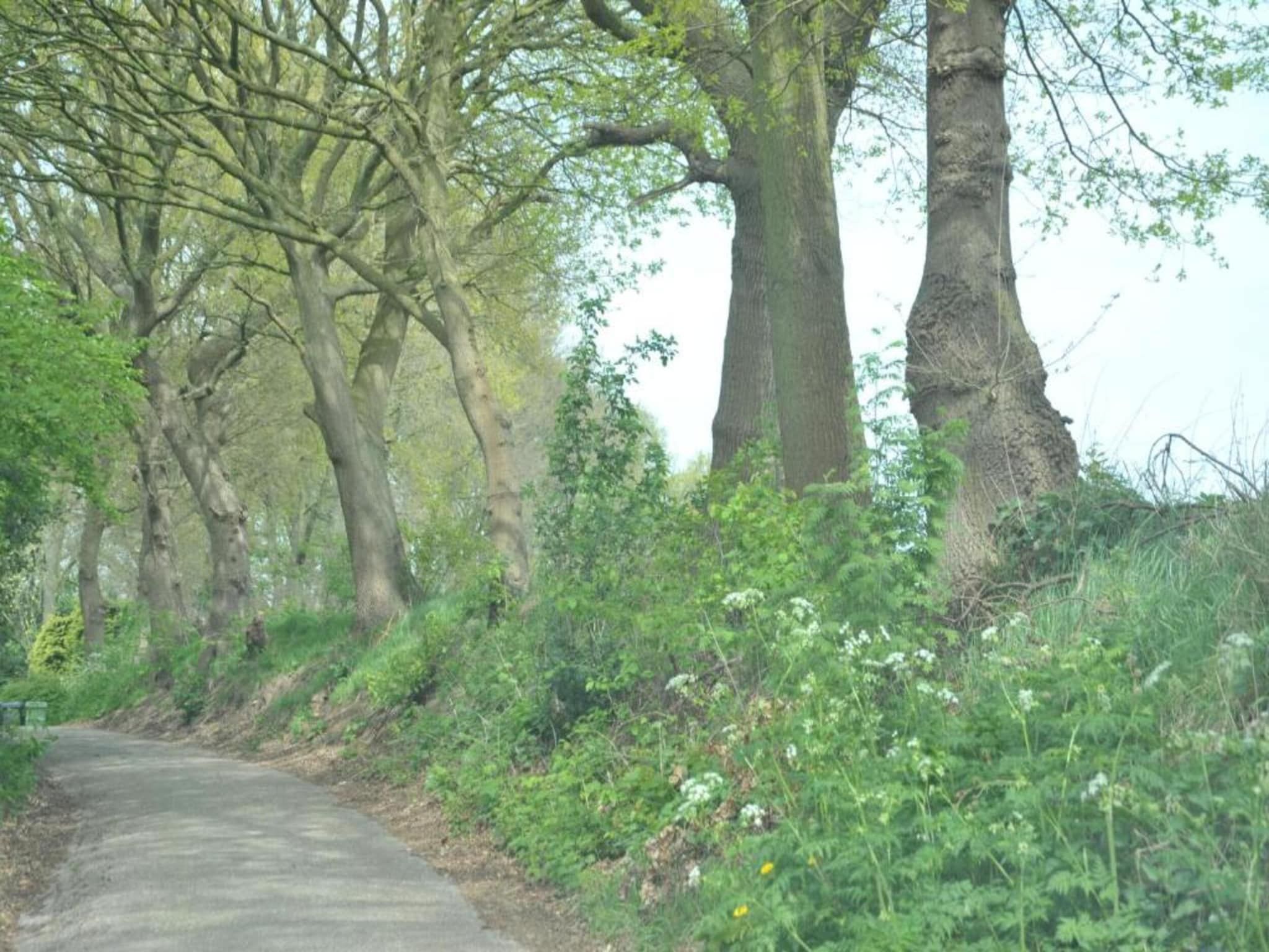 Resort Waterrijk Oesterdam 12 in Tholen - Foto 34 van 40