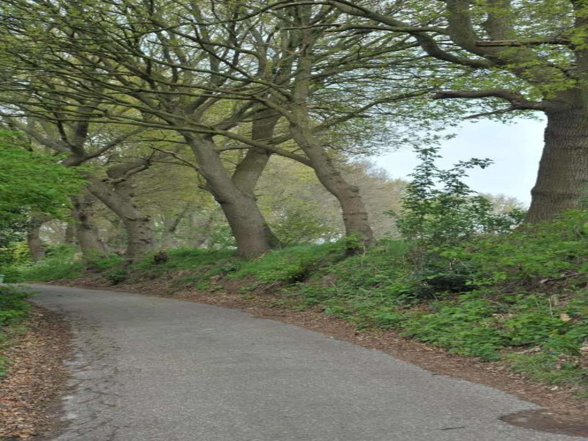 Resort Waterrijk Oesterdam 12 in Tholen - Foto 37 van 40