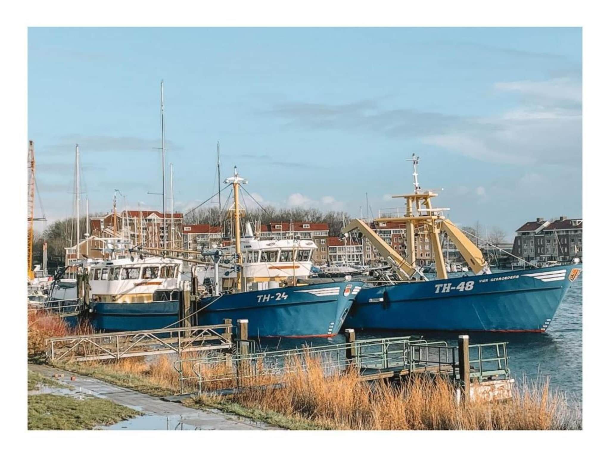 Resort Waterrijk Oesterdam 13 in Tholen - Foto 21 van 40