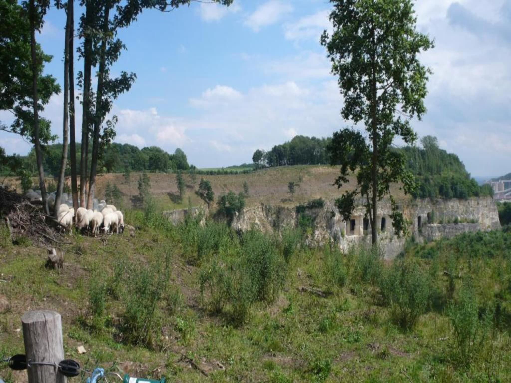 Resort Maastricht 13 in Maastricht - Foto 35 van 40