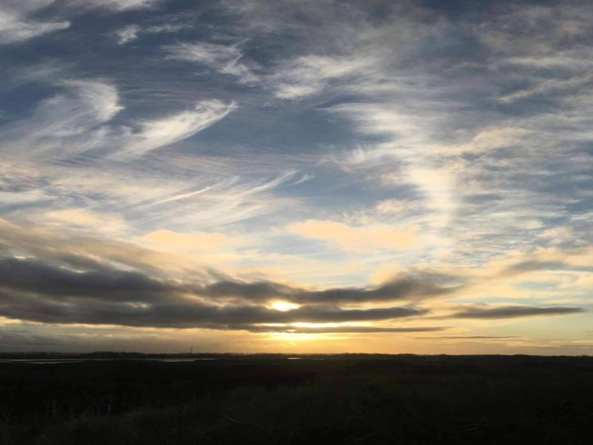 Krokus 18 in Breskens - Foto 28 van 39