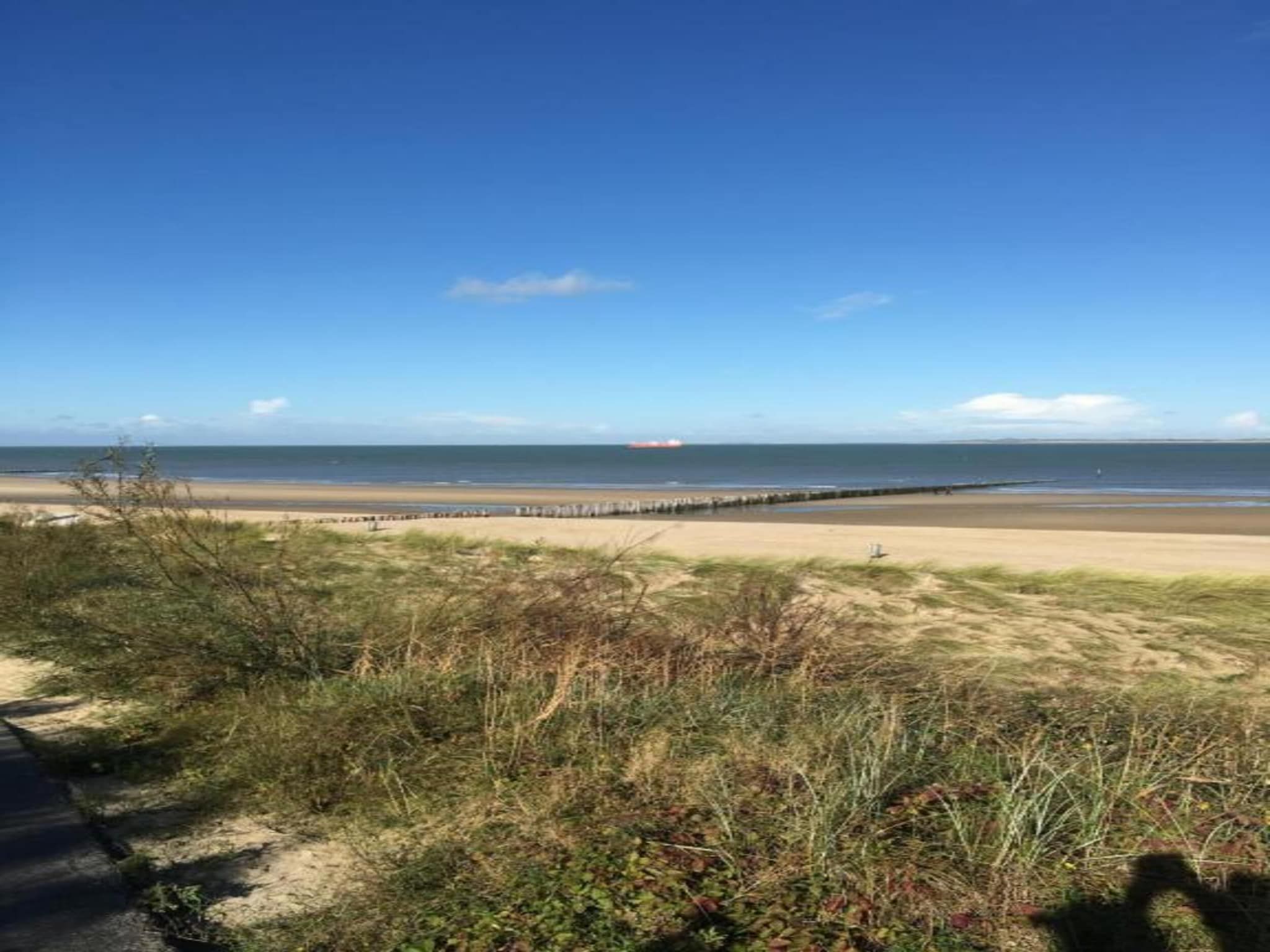 Krokus 18 in Breskens - Foto 30 van 39