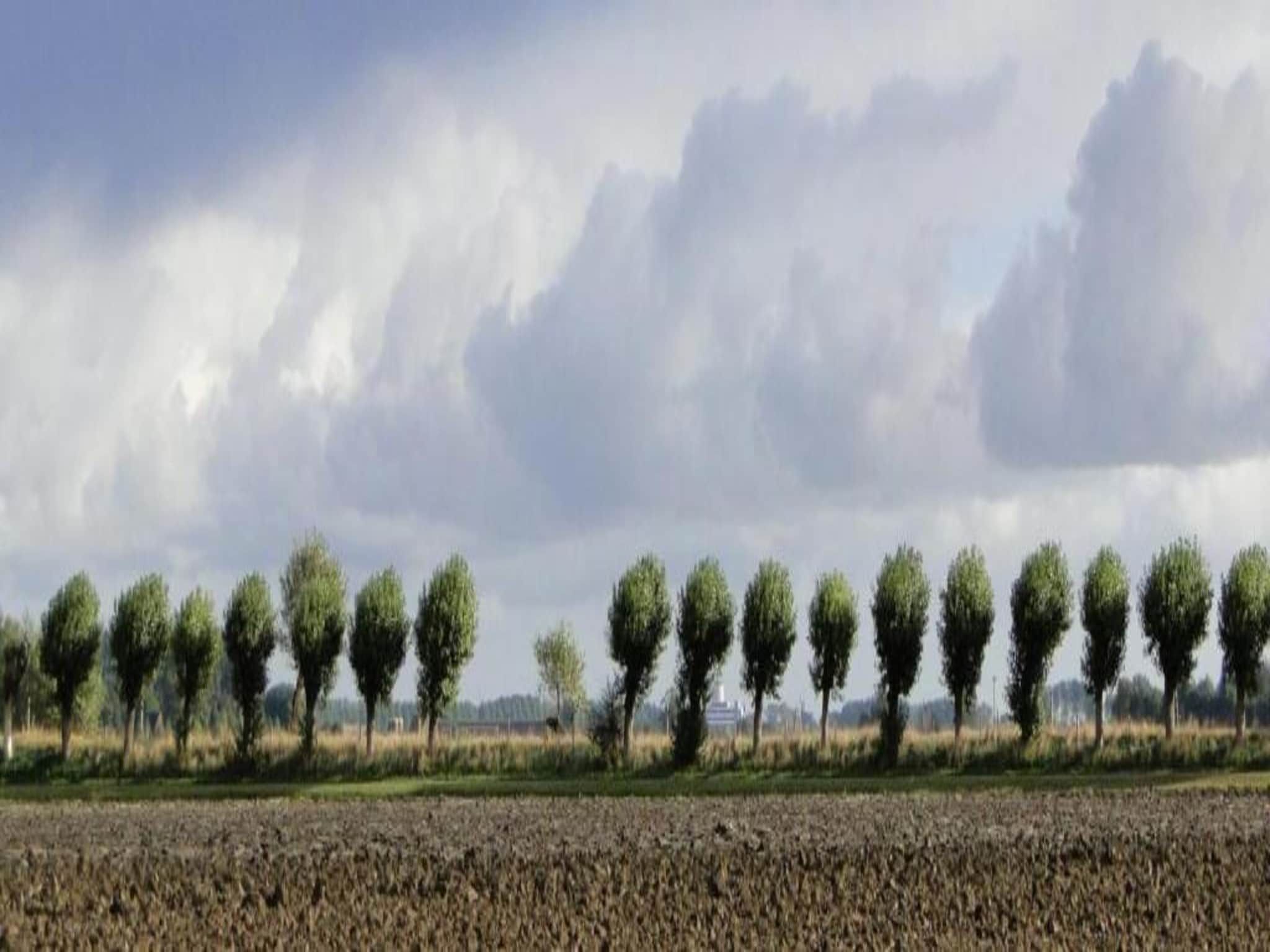 Krokus 18 in Breskens - Foto 31 van 39