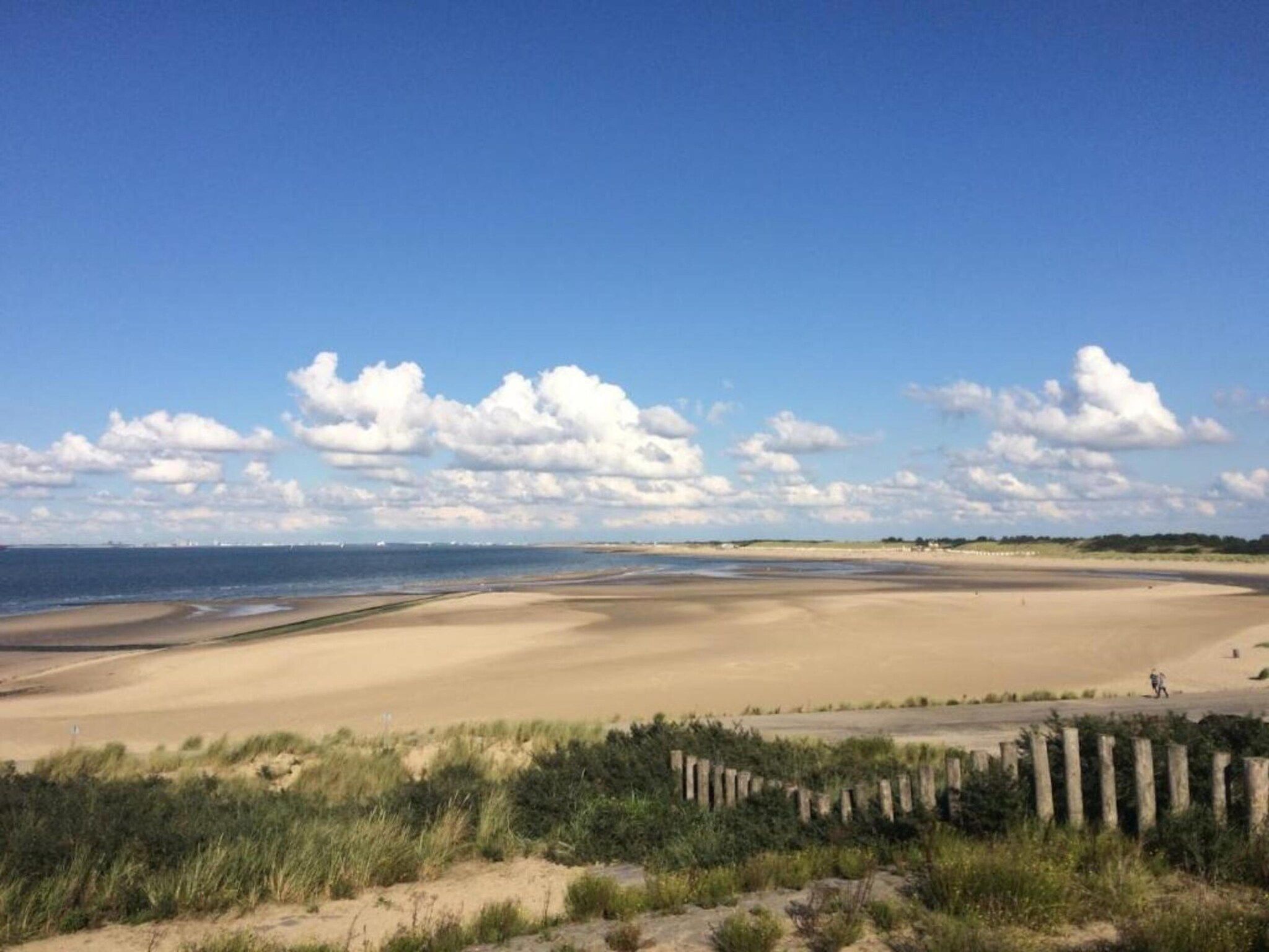 Krokus 18 in Breskens - Foto 33 van 39