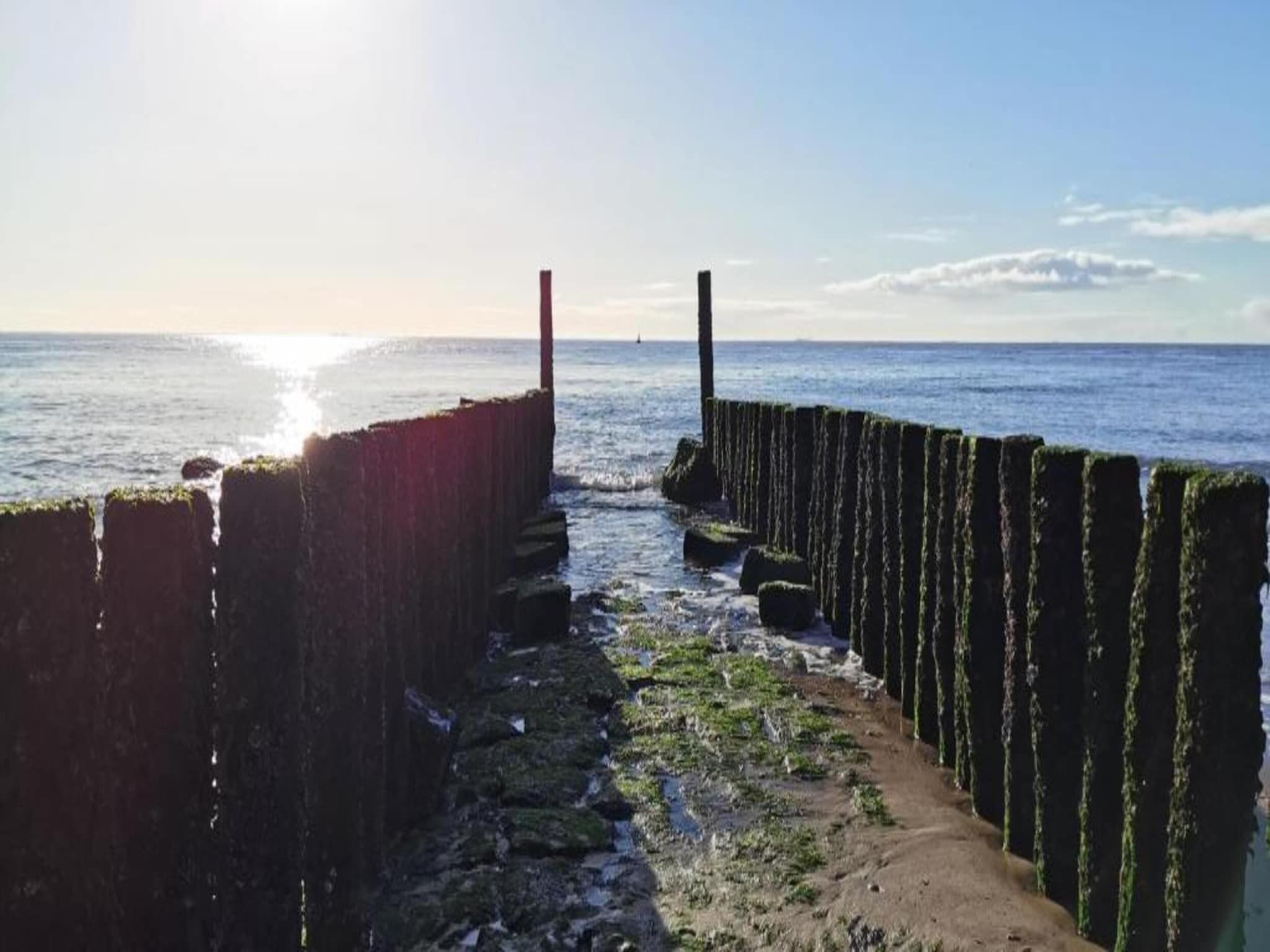 Krokus 18 in Breskens - Foto 37 van 39